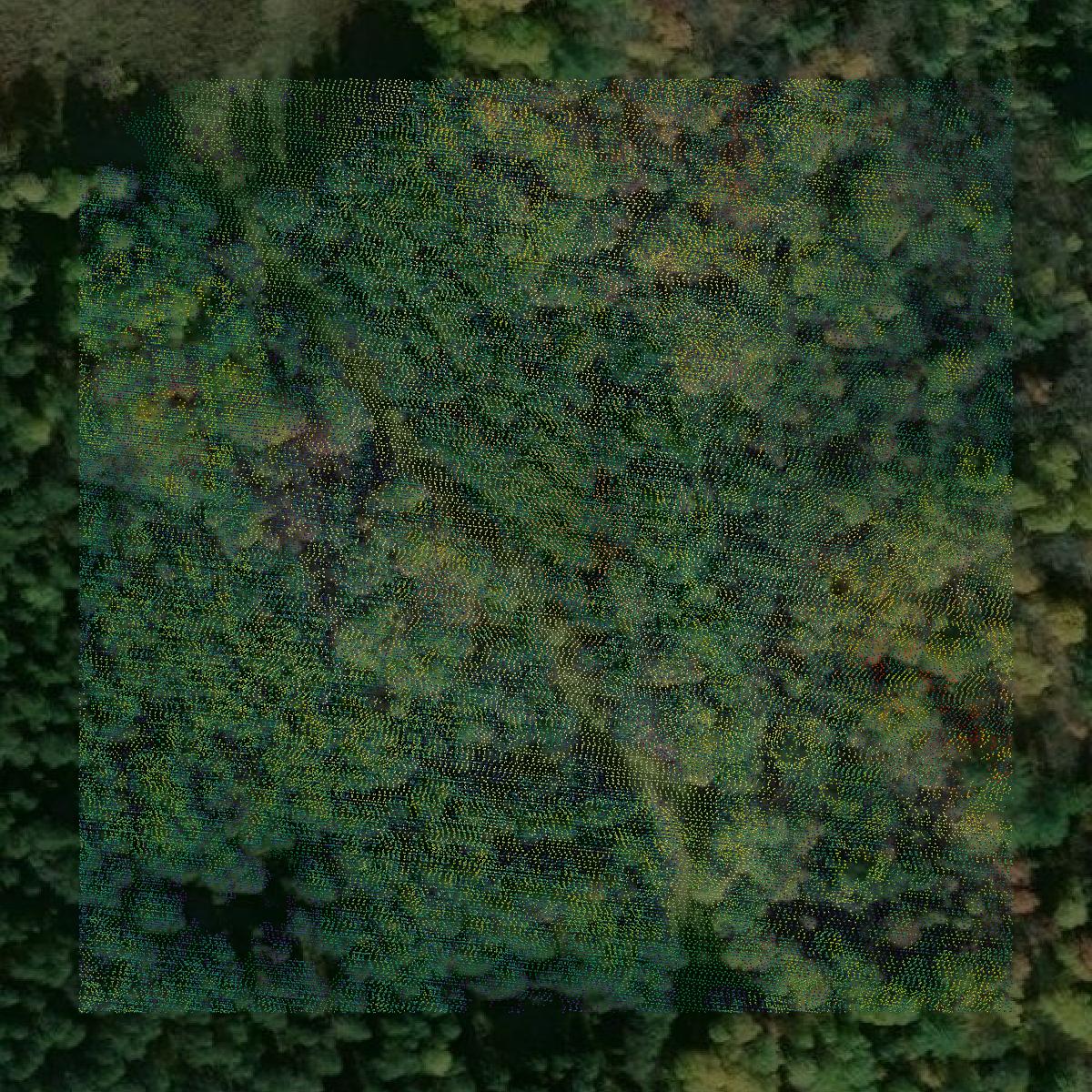 This image shows a LiDAR point cloud in Gogebic County created using GIS data in Equator.