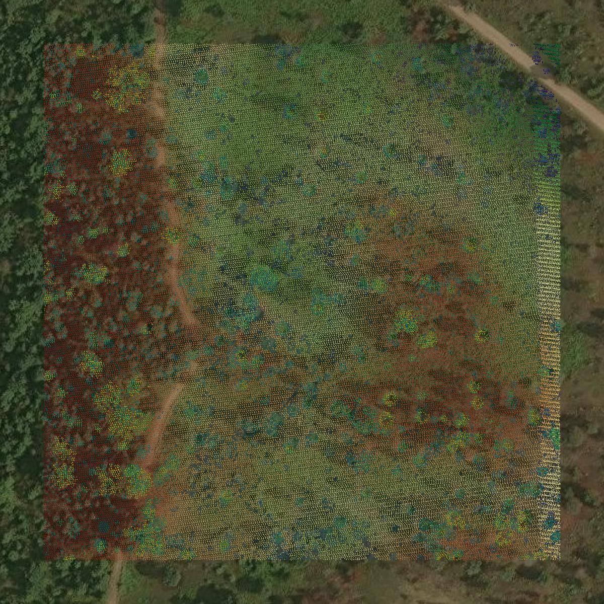 This image shows a LiDAR point cloud in Grand Traverse County created using GIS data in Equator.