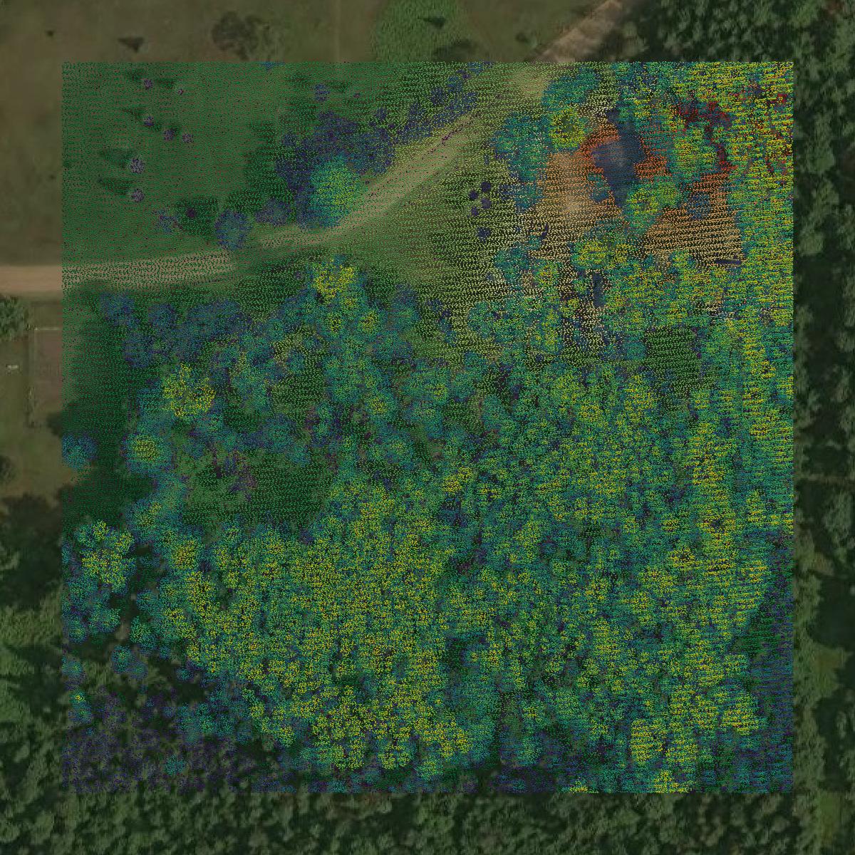 This image shows a LiDAR point cloud in Grand Traverse County created using GIS data in Equator.