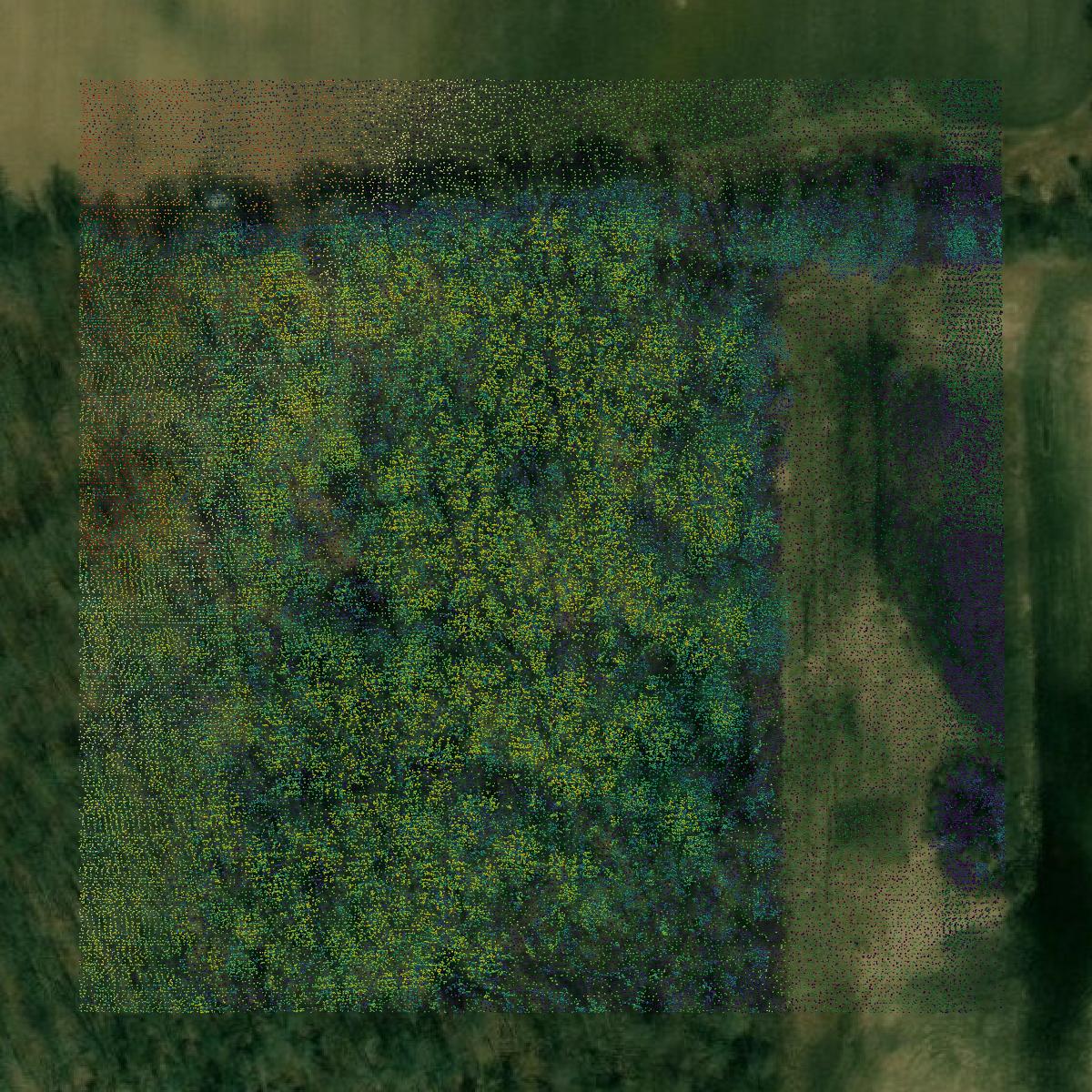 This image shows a LiDAR point cloud in Gratiot County created using GIS data in Equator.