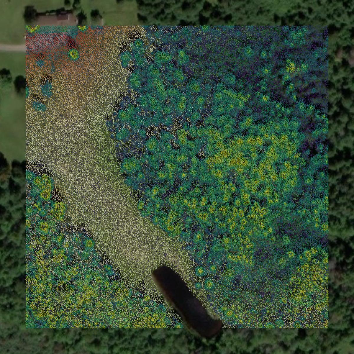 This image shows a LiDAR point cloud in Houghton County created using GIS data in Equator.