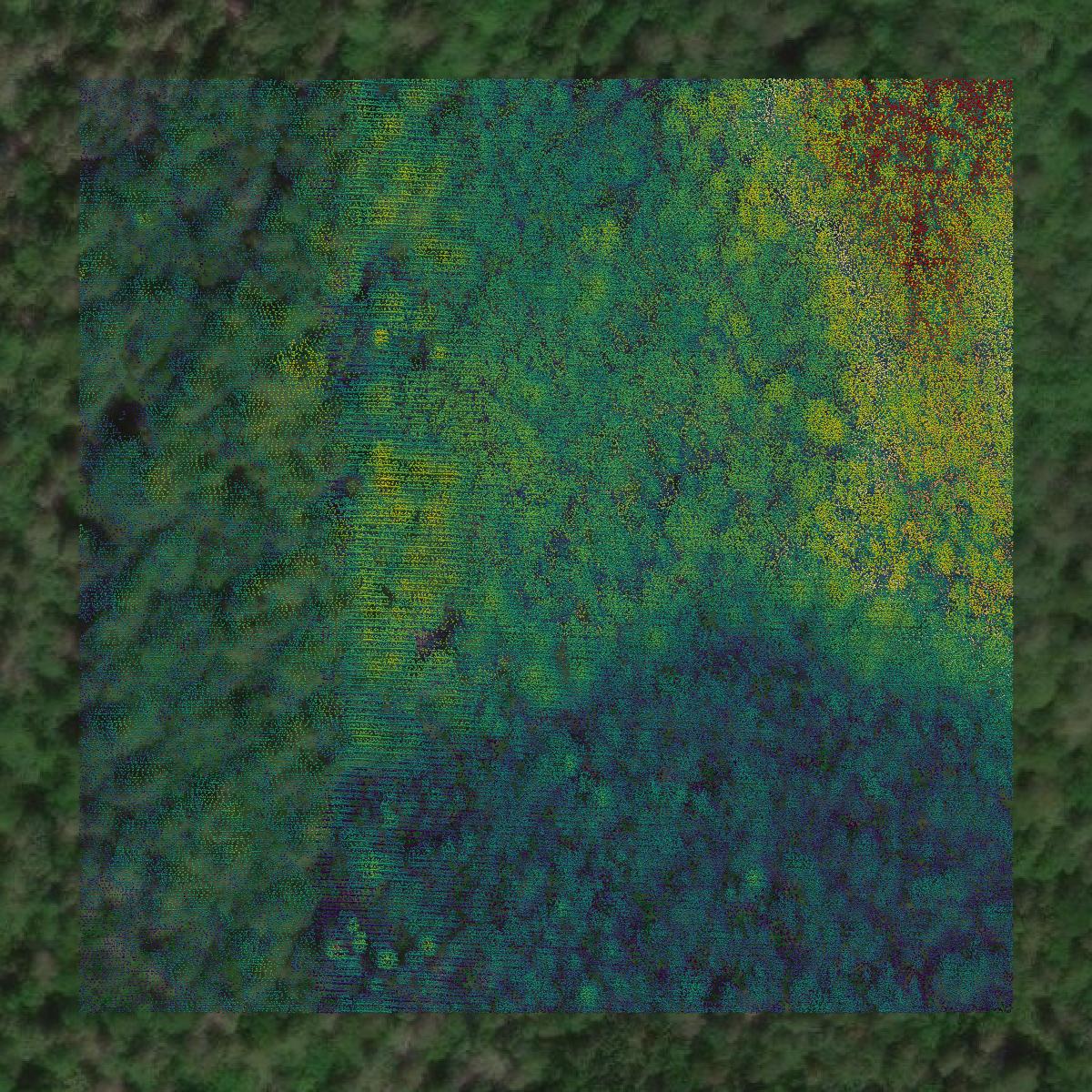 This image shows a LiDAR point cloud in Houghton County created using GIS data in Equator.