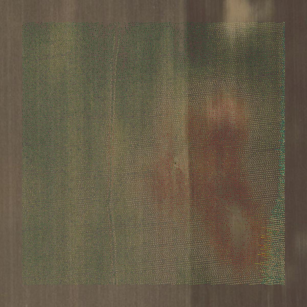 This image shows a LiDAR point cloud in Huron County created using GIS data in Equator.