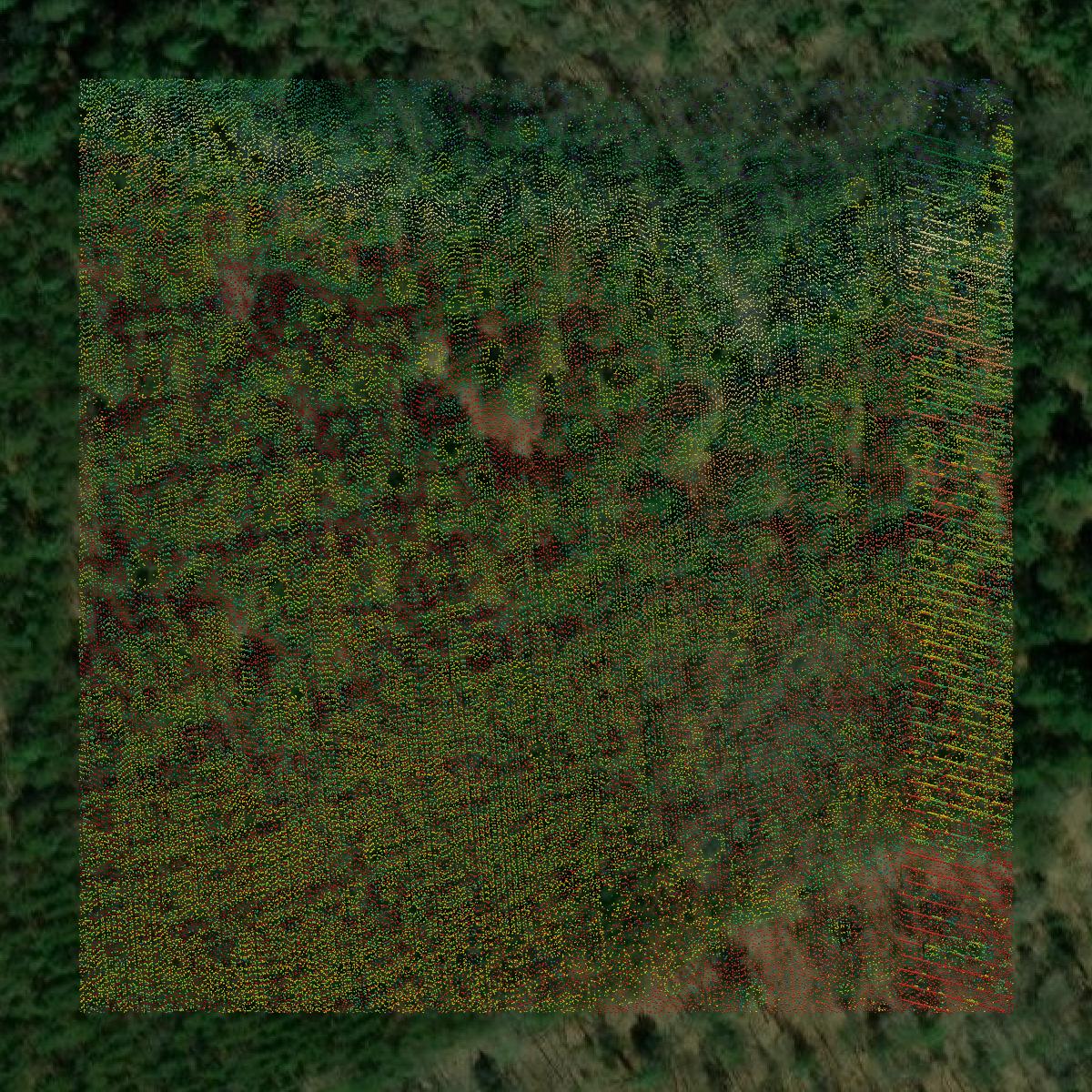 This image shows a LiDAR point cloud in Iosco County created using GIS data in Equator.