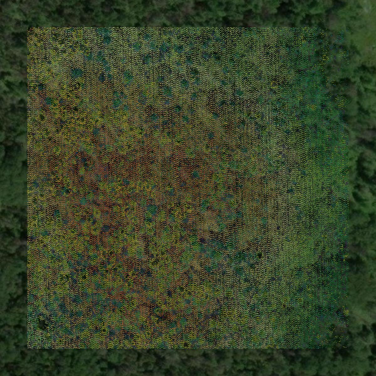 This image shows a LiDAR point cloud in Iosco County created using GIS data in Equator.