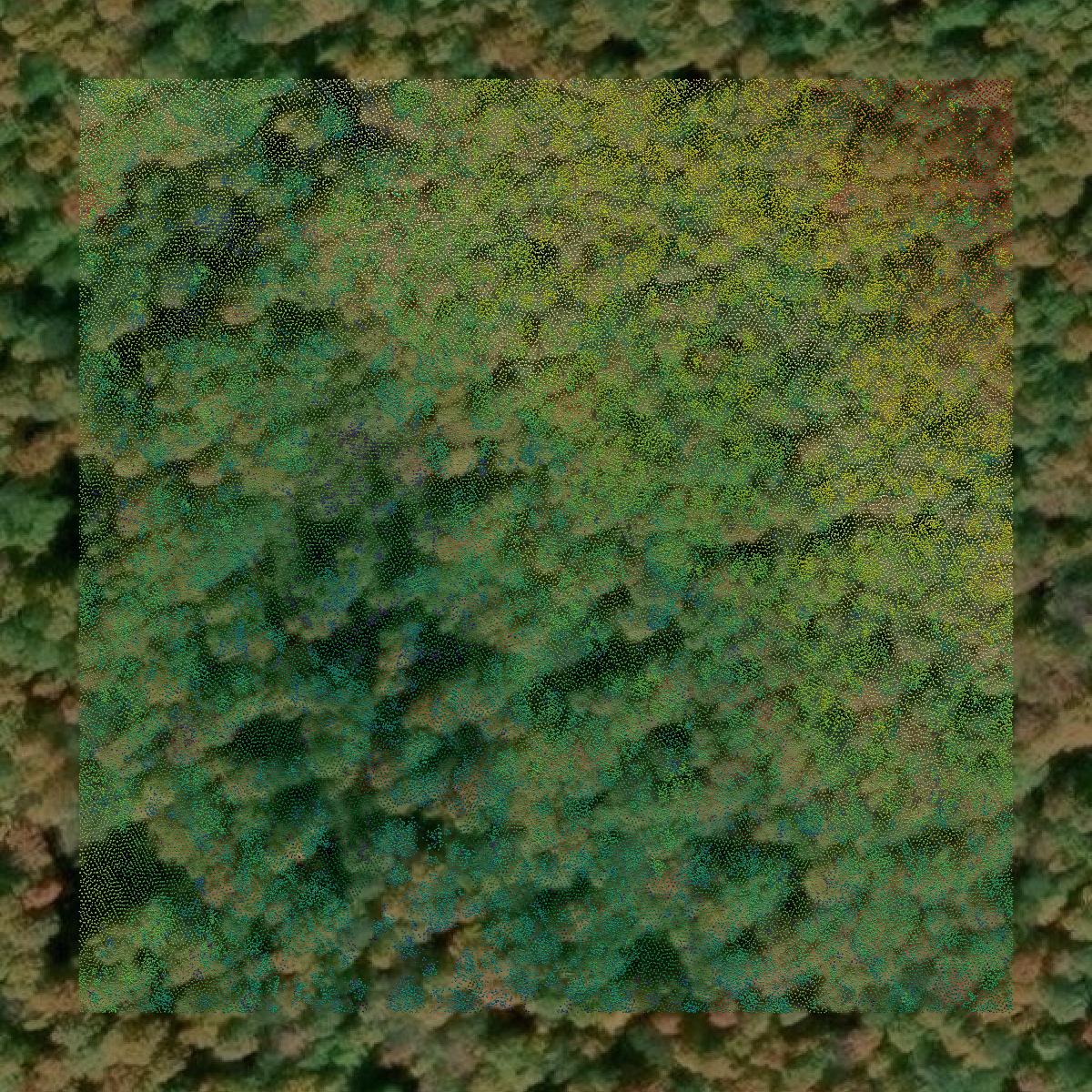 This image shows a LiDAR point cloud in Iron County created using GIS data in Equator.