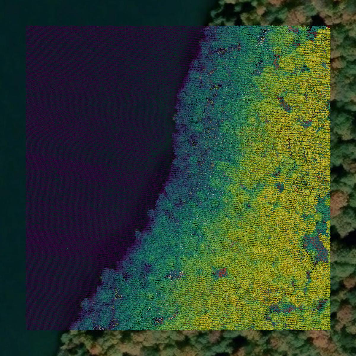 This image shows a LiDAR point cloud in Iron County created using GIS data in Equator.