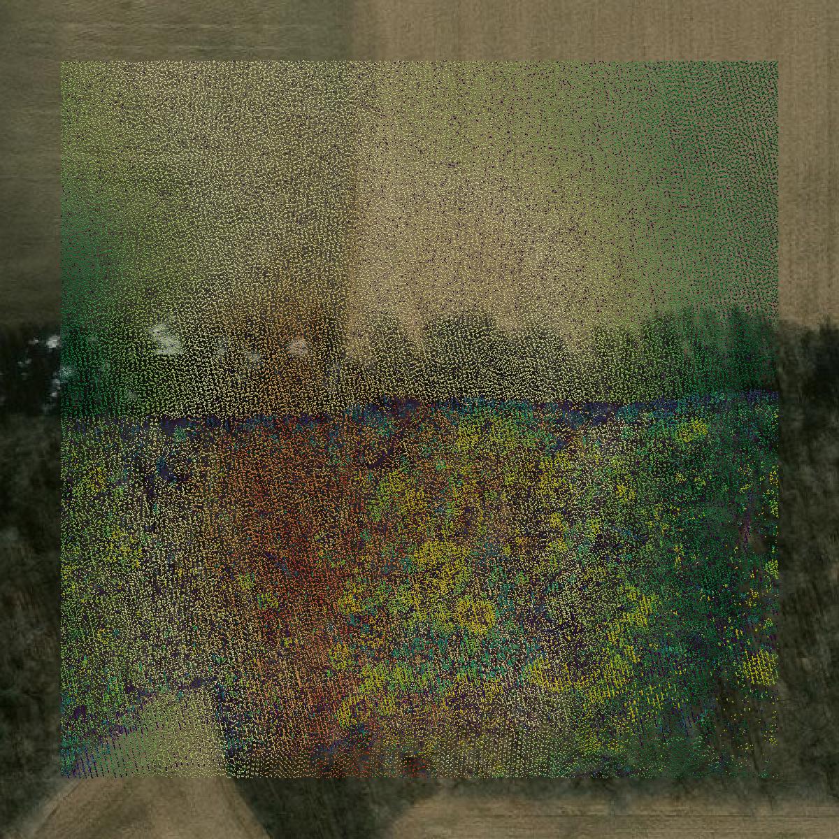 This image shows a LiDAR point cloud in Isabella County created using GIS data in Equator.