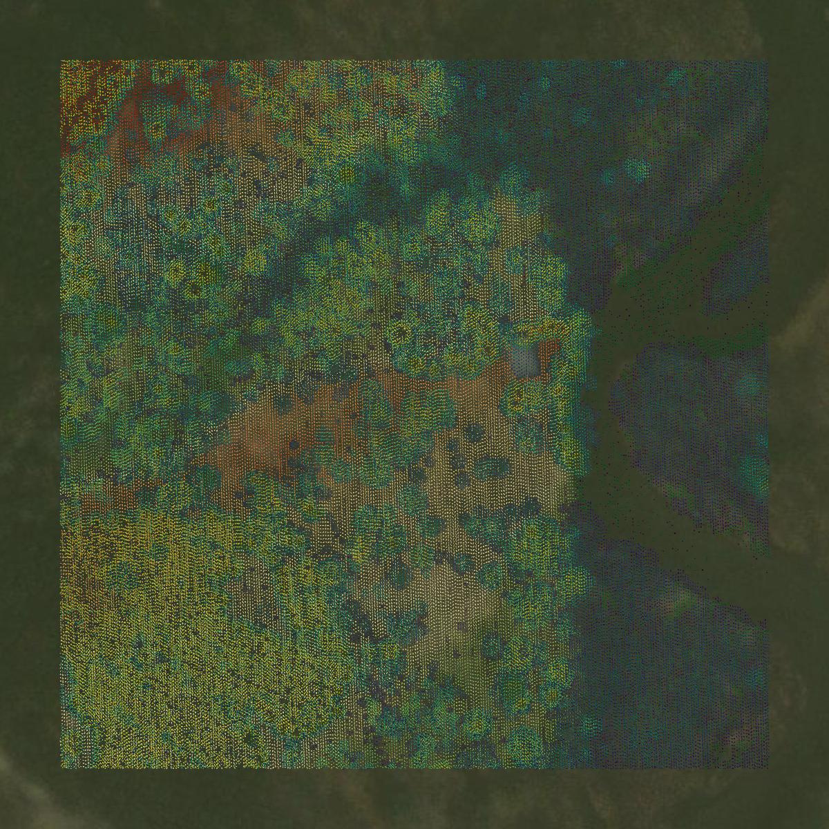 This image shows a LiDAR point cloud in Kalkaska County created using GIS data in Equator.