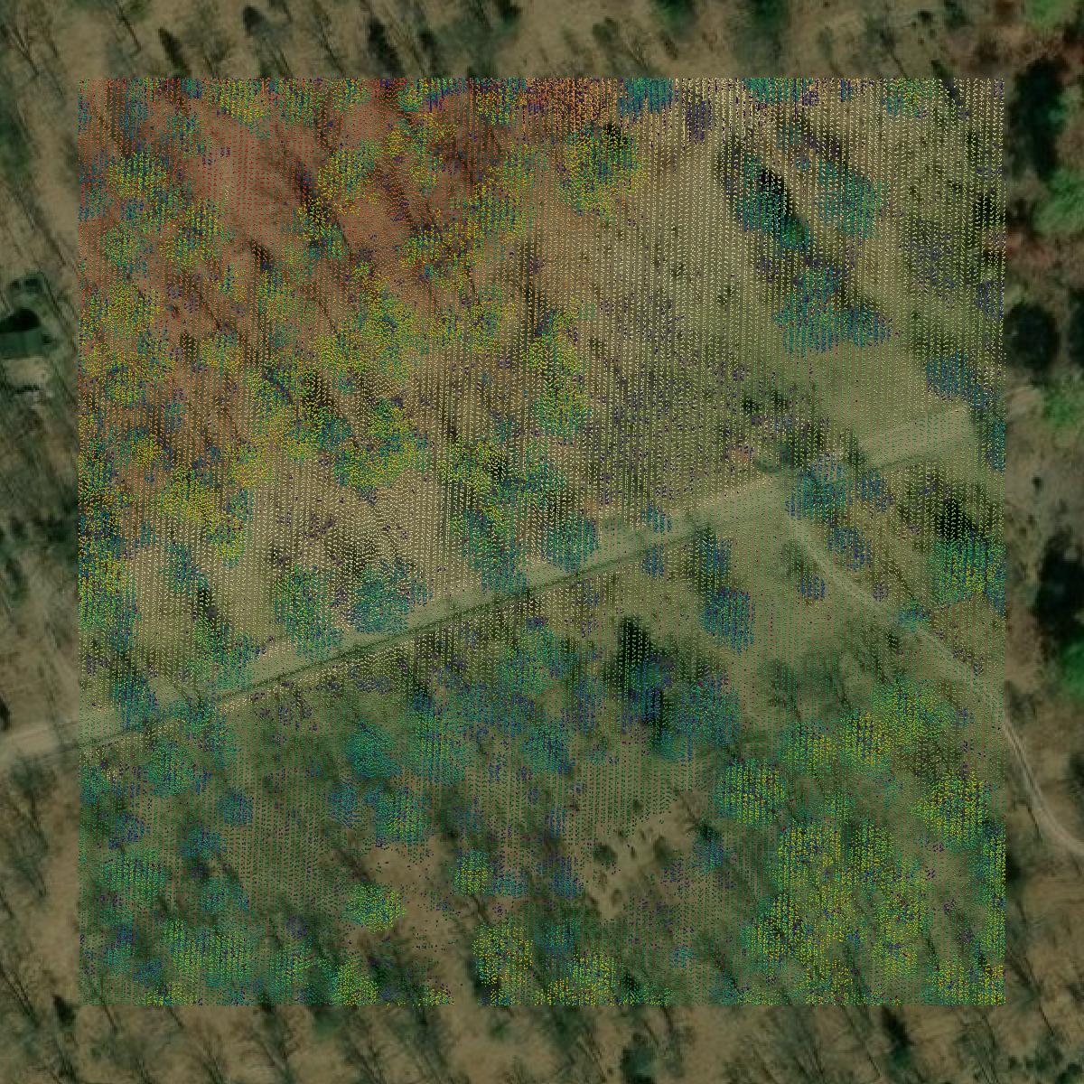 This image shows a LiDAR point cloud in Kalkaska County created using GIS data in Equator.