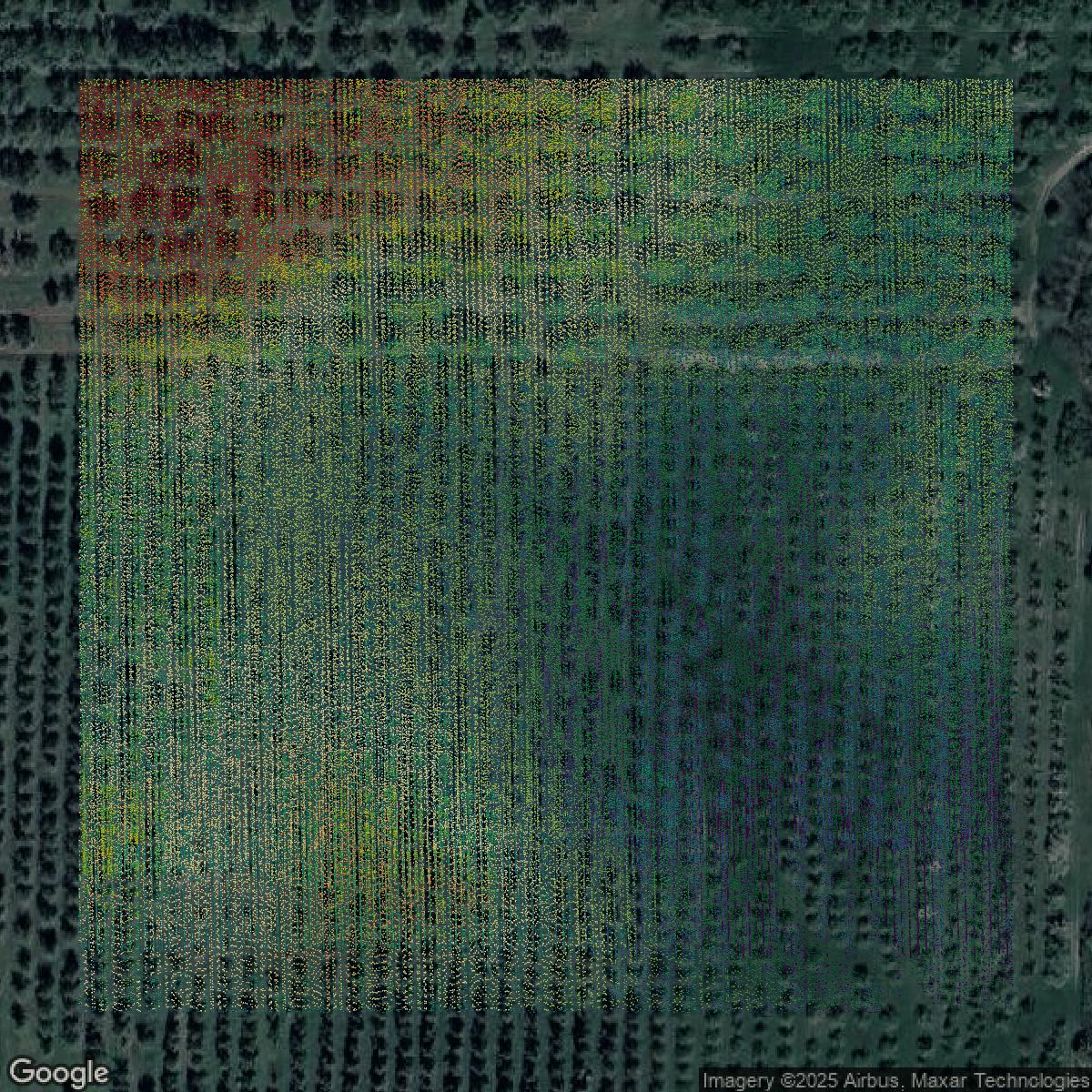 This image shows a LiDAR point cloud in Kent County created using GIS data in Equator.