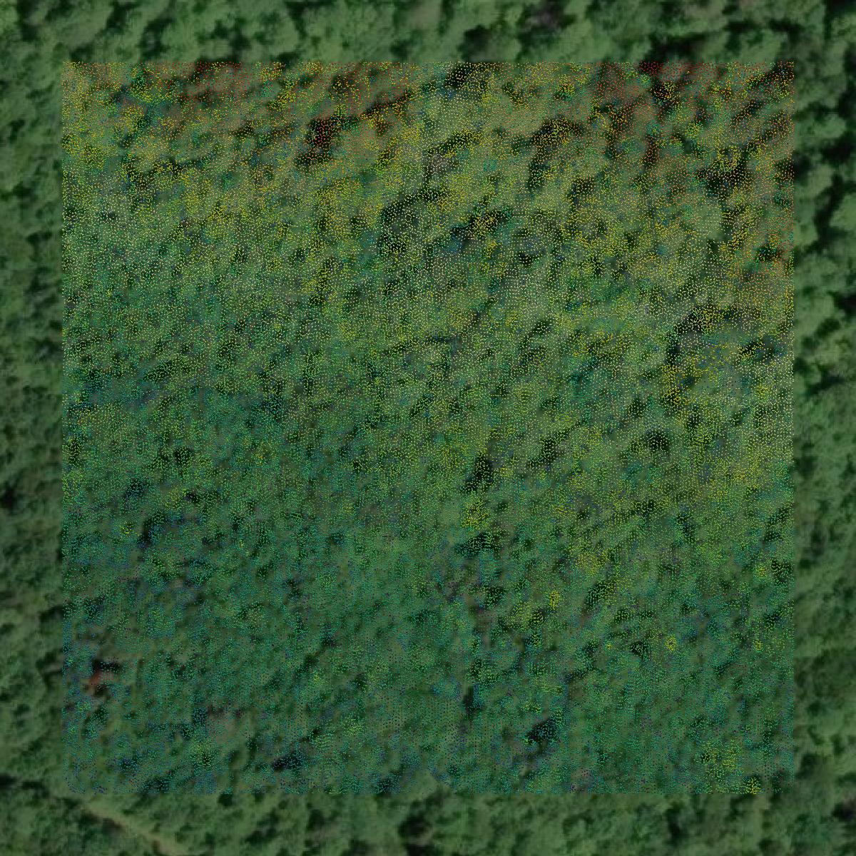 This image shows a LiDAR point cloud in Keweenaw County created using GIS data in Equator.