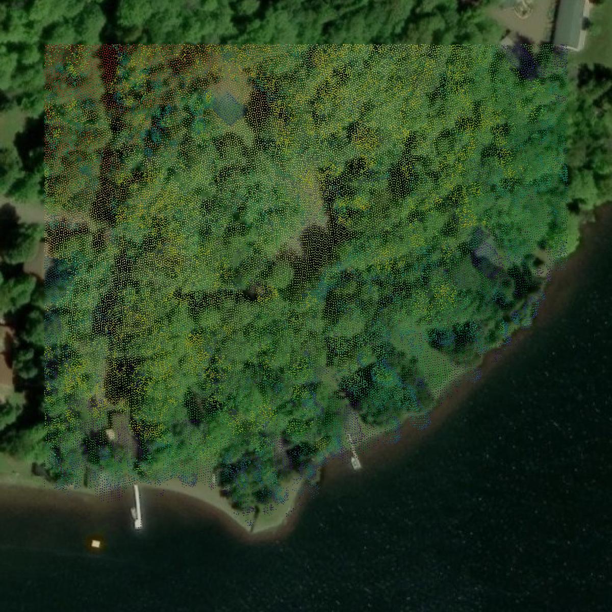 This image shows a LiDAR point cloud in Keweenaw County created using GIS data in Equator.
