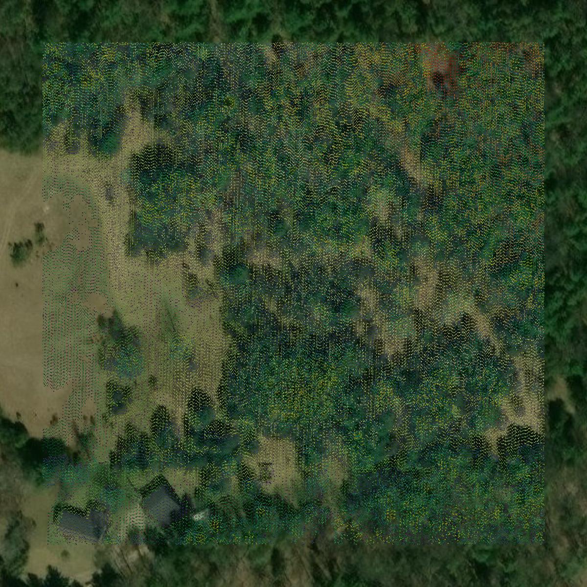 This image shows a LiDAR point cloud in Lake County created using GIS data in Equator.