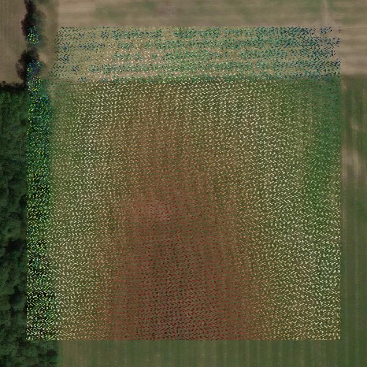This image shows a LiDAR point cloud in Leelanau County created using GIS data in Equator.
