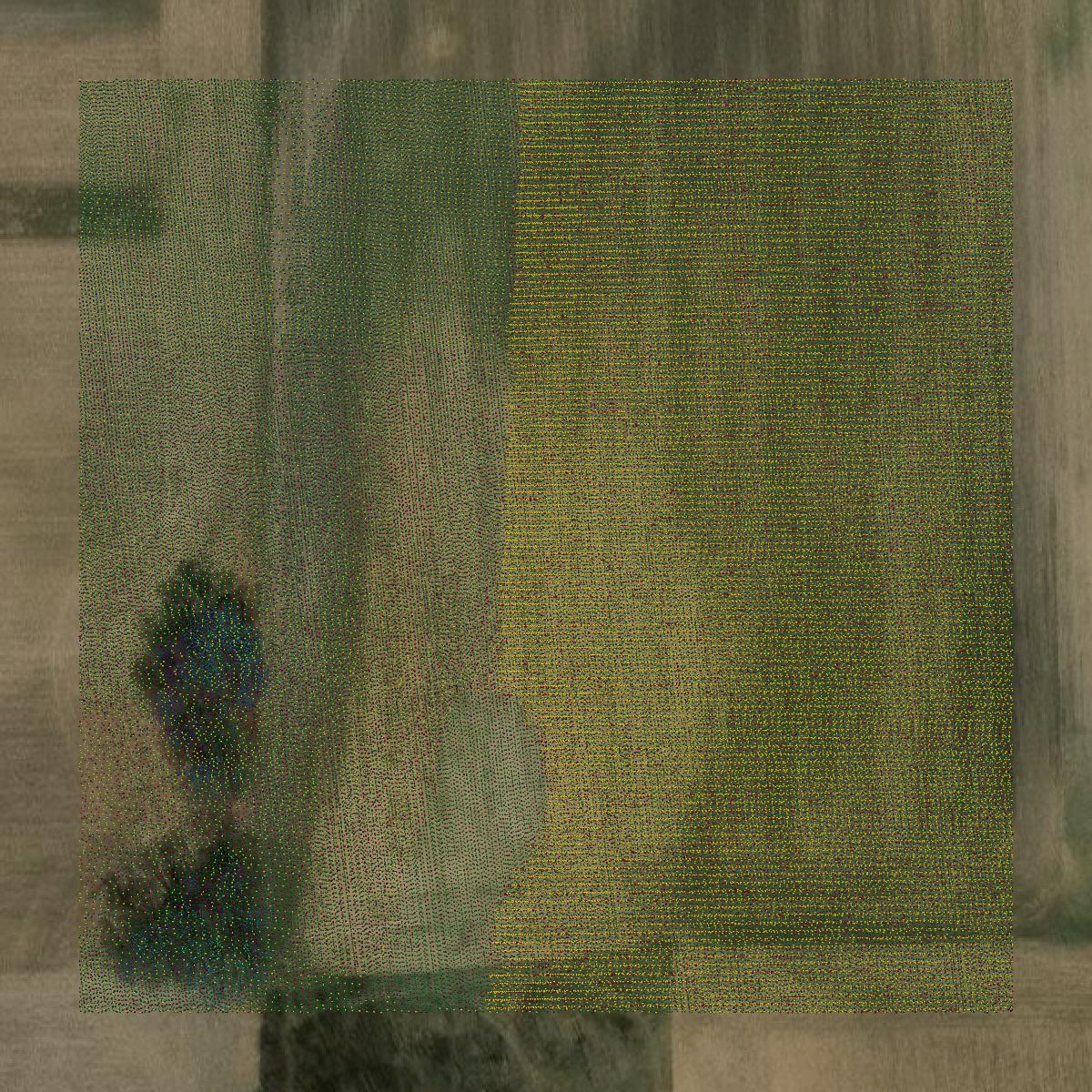 This image shows a LiDAR point cloud in Lenawee County created using GIS data in Equator.