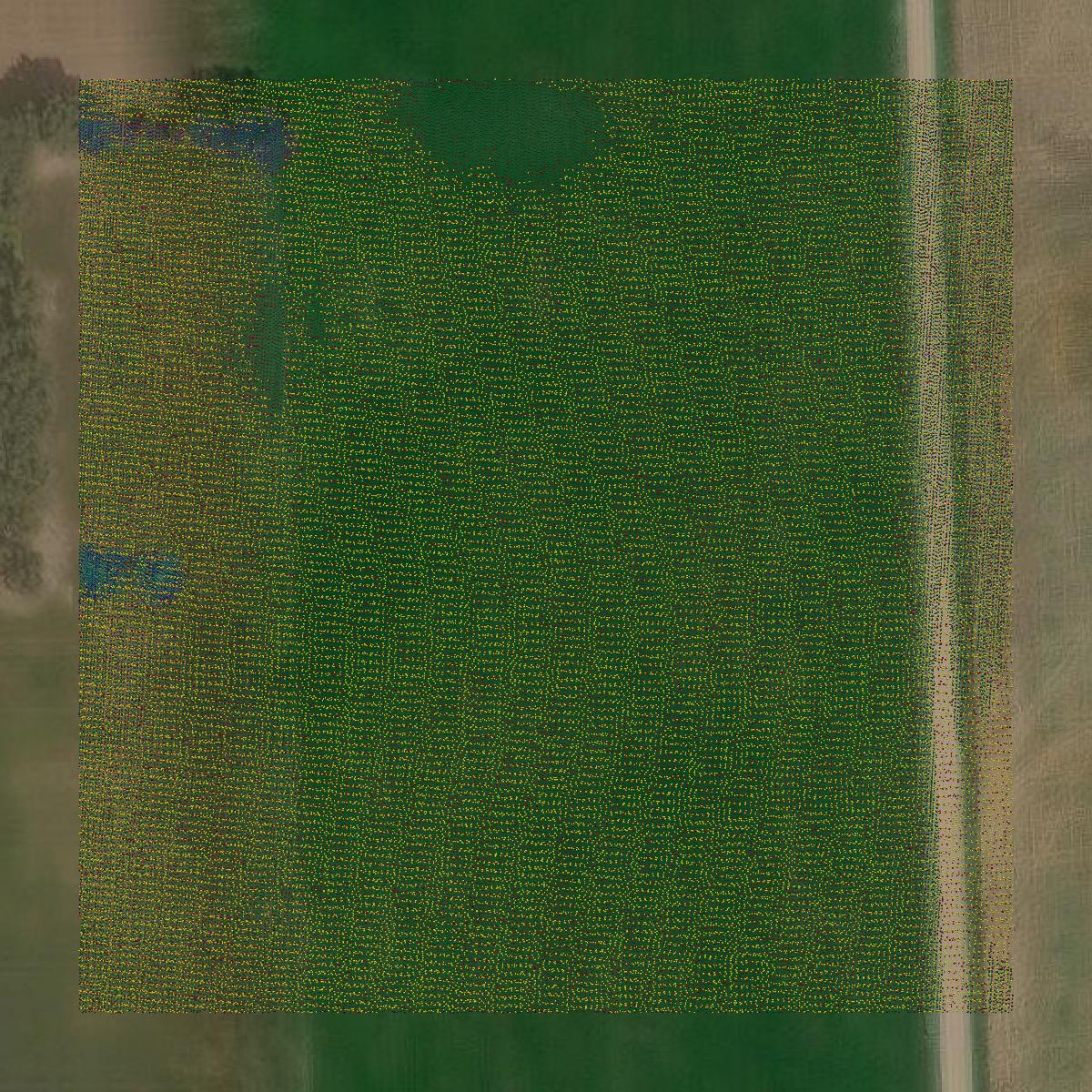 This image shows a LiDAR point cloud in Lenawee County created using GIS data in Equator.