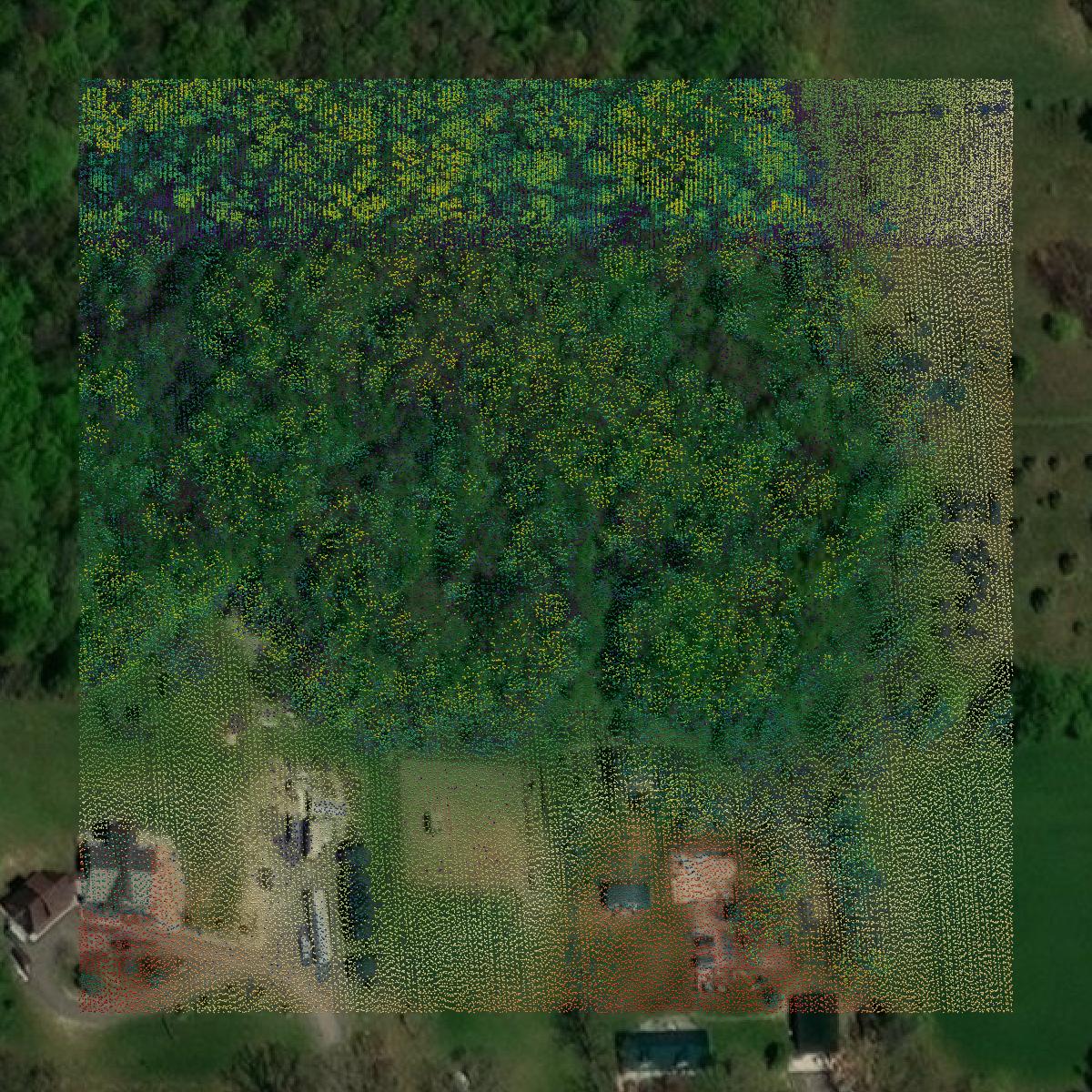 This image shows a LiDAR point cloud in Livingston County created using GIS data in Equator.