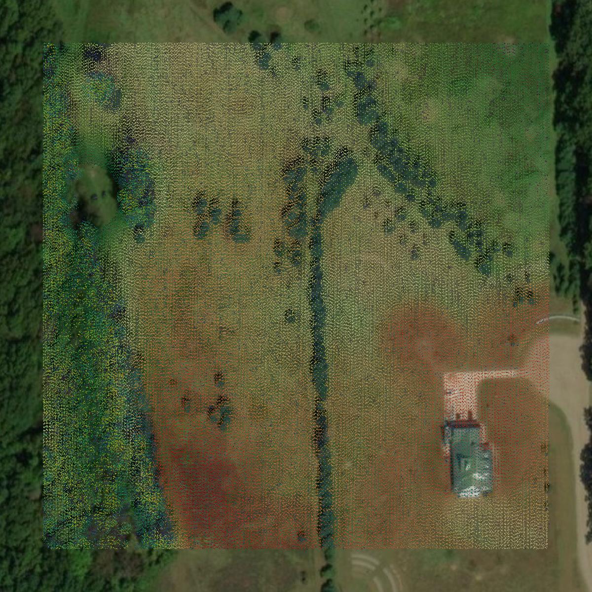 This image shows a LiDAR point cloud in Livingston County created using GIS data in Equator.