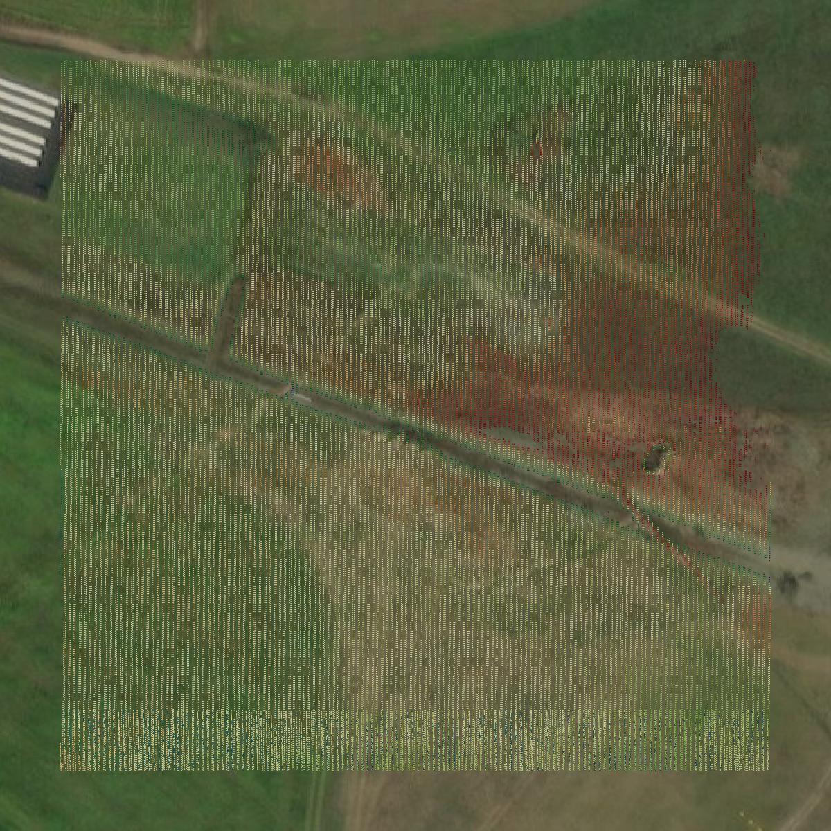 This image shows a LiDAR point cloud in Luce County created using GIS data in Equator.