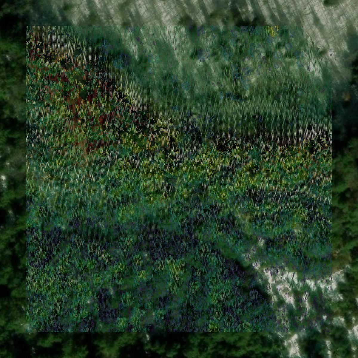 This image shows a LiDAR point cloud in Luce County created using GIS data in Equator.