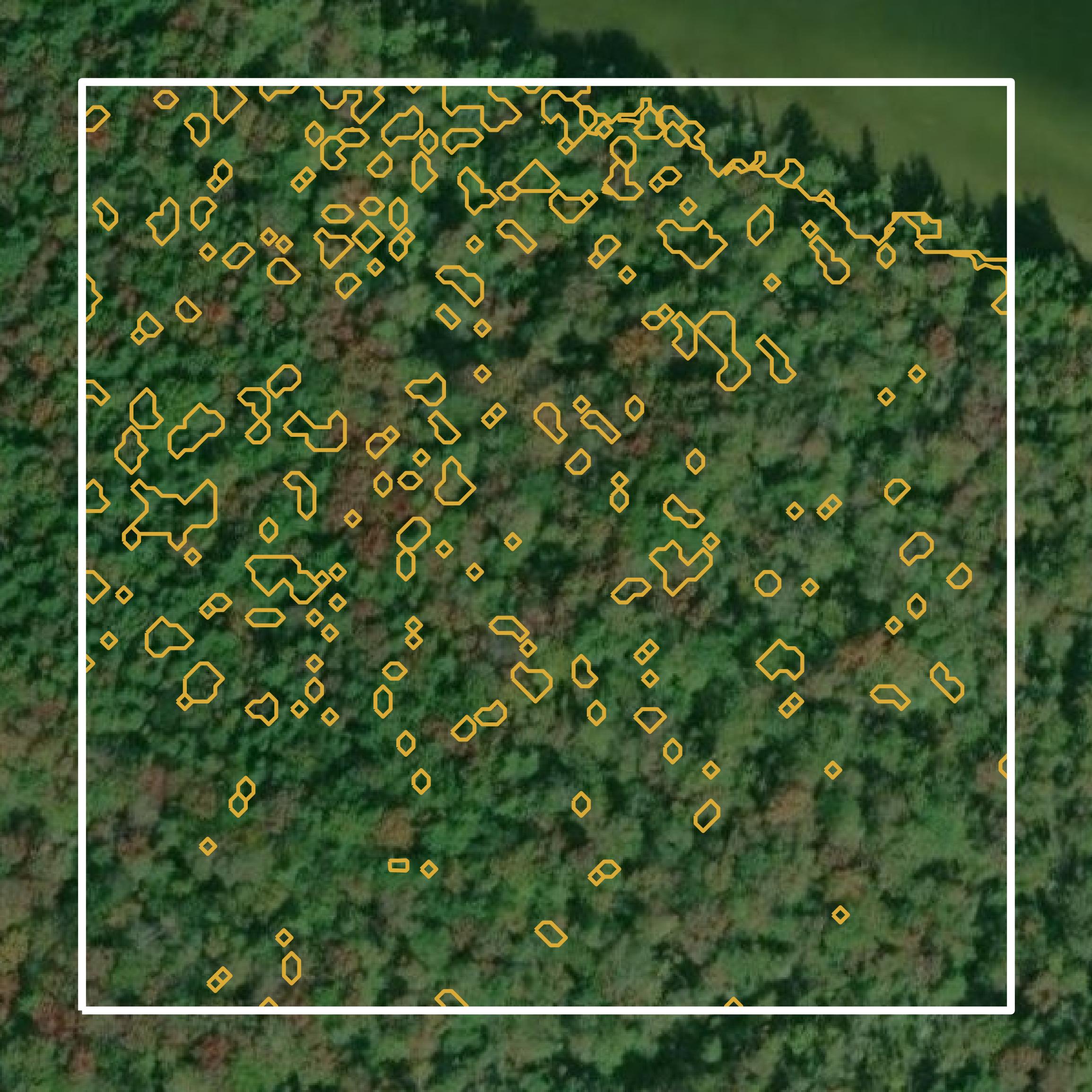 This image shows a contour map in Mackinac County created using GIS data in Equator.