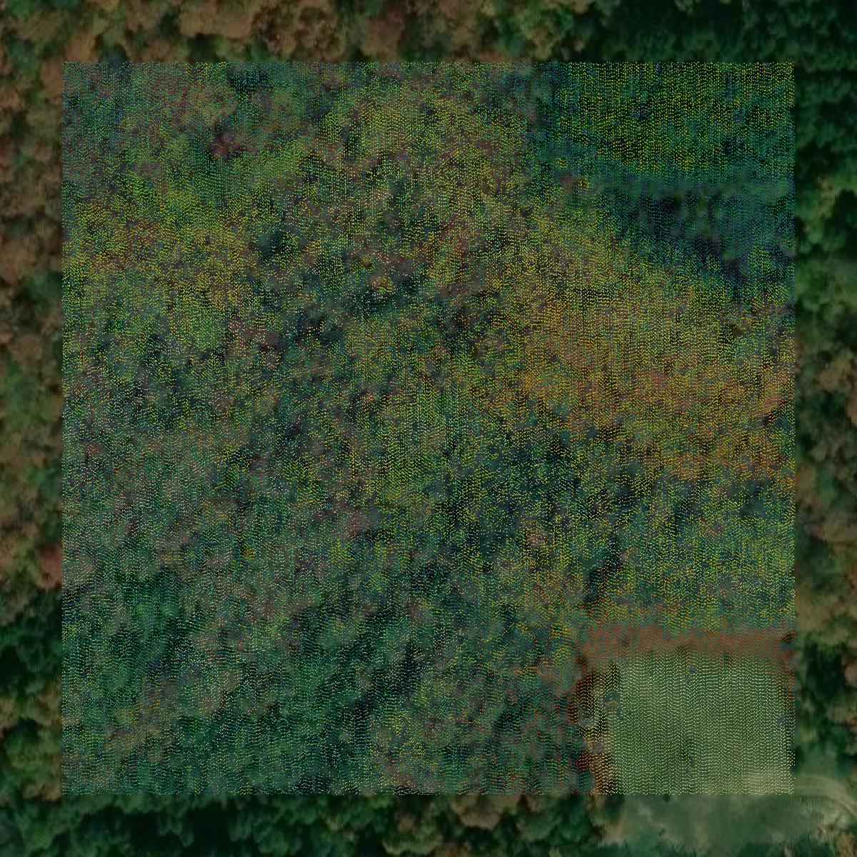 This image shows a LiDAR point cloud in Mackinac County created using GIS data in Equator.
