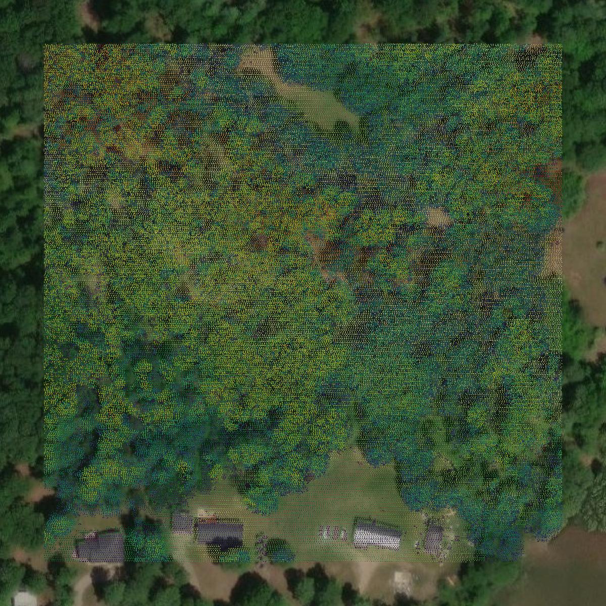 This image shows a LiDAR point cloud in Manistee County created using GIS data in Equator.