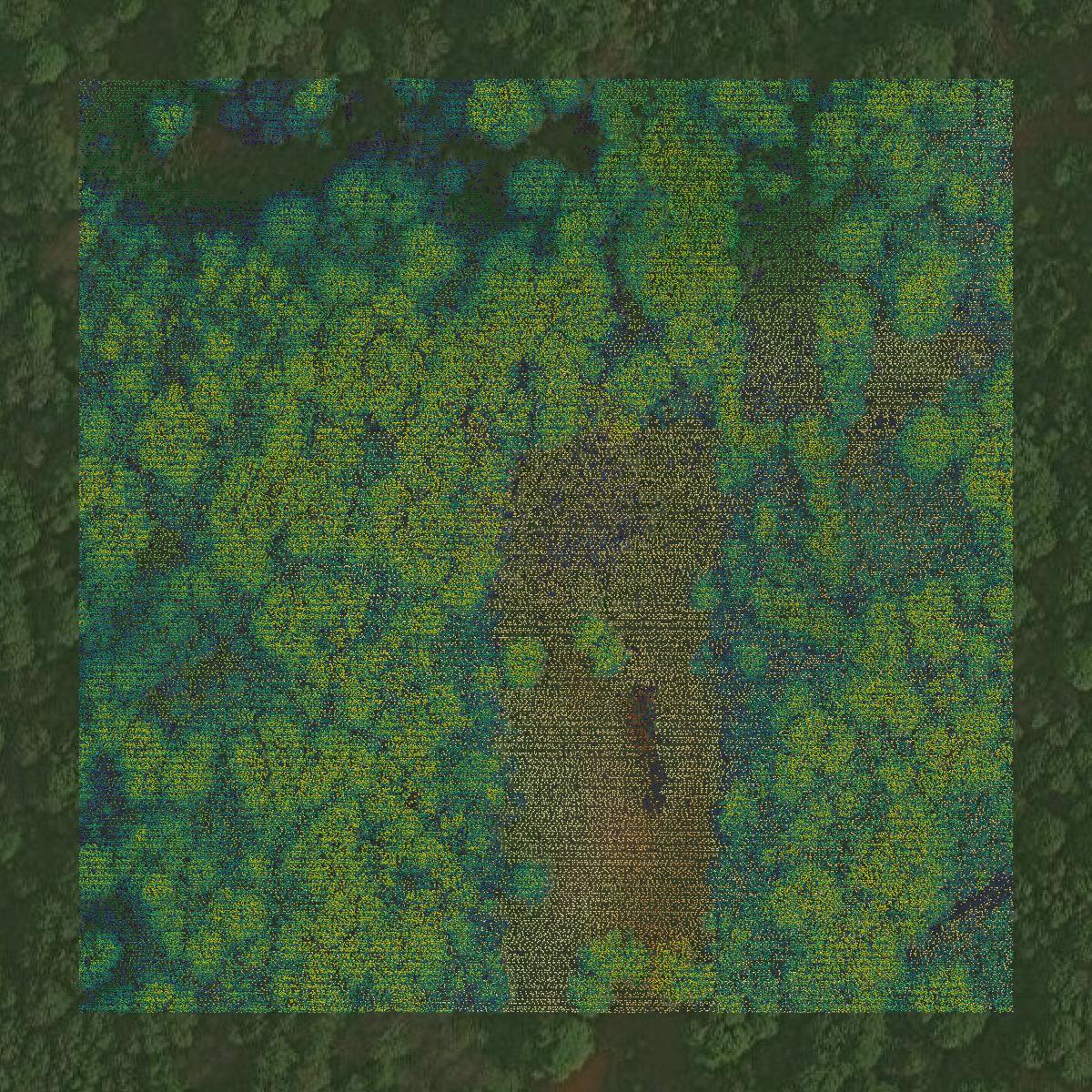 This image shows a LiDAR point cloud in Manistee County created using GIS data in Equator.