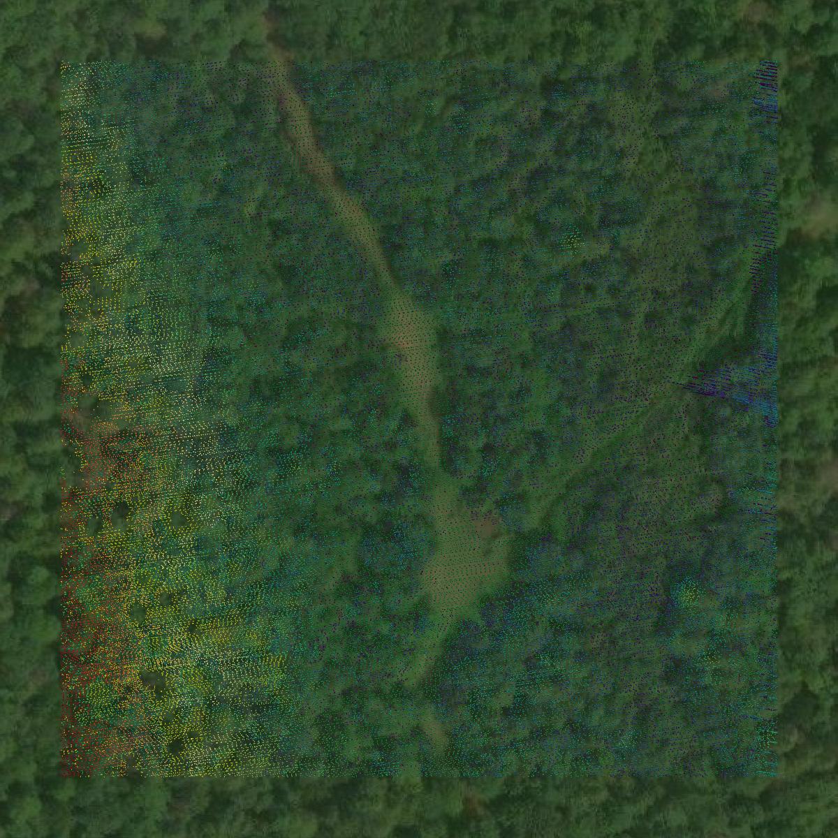 This image shows a LiDAR point cloud in Marquette County created using GIS data in Equator.