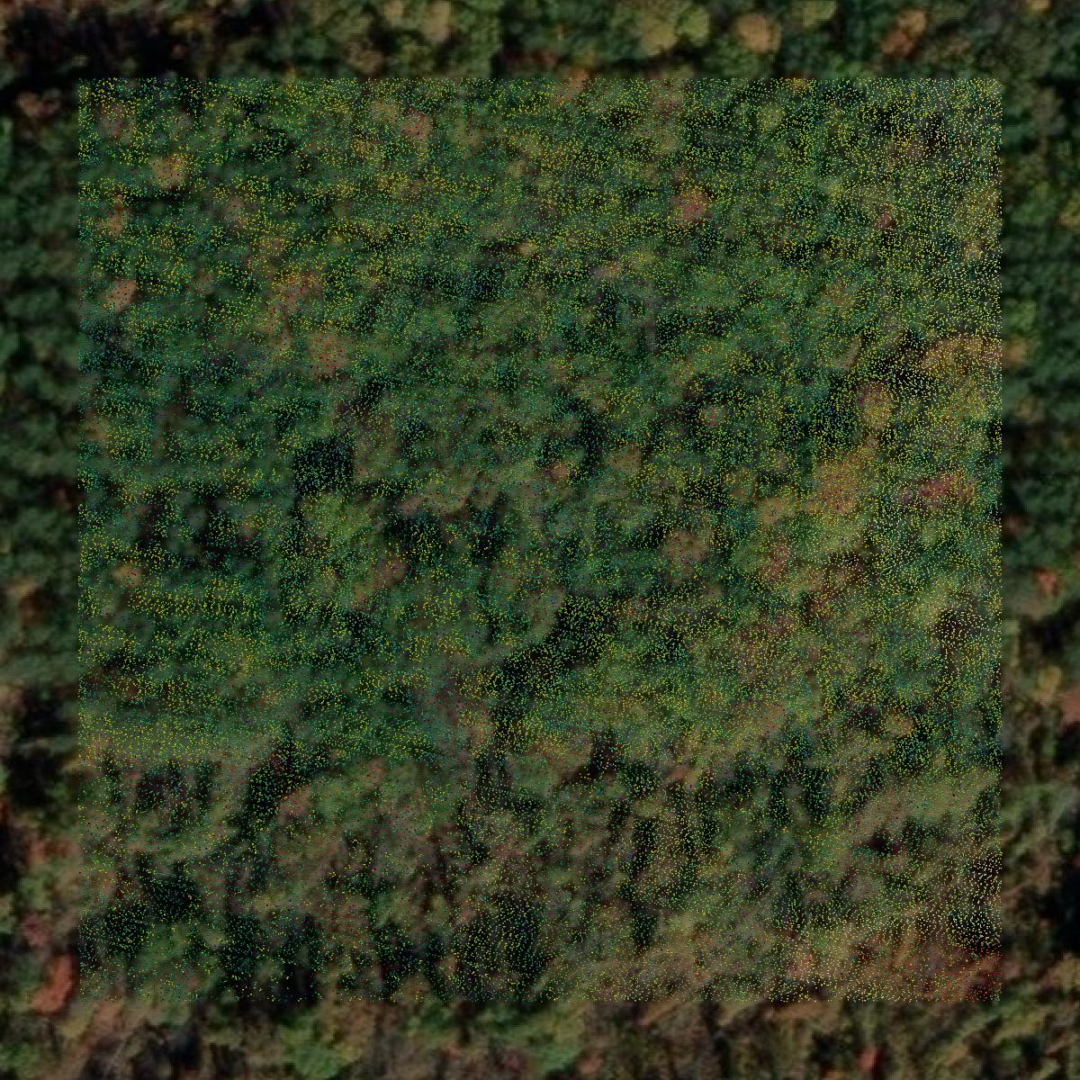 This image shows a LiDAR point cloud in Mason County created using GIS data in Equator.