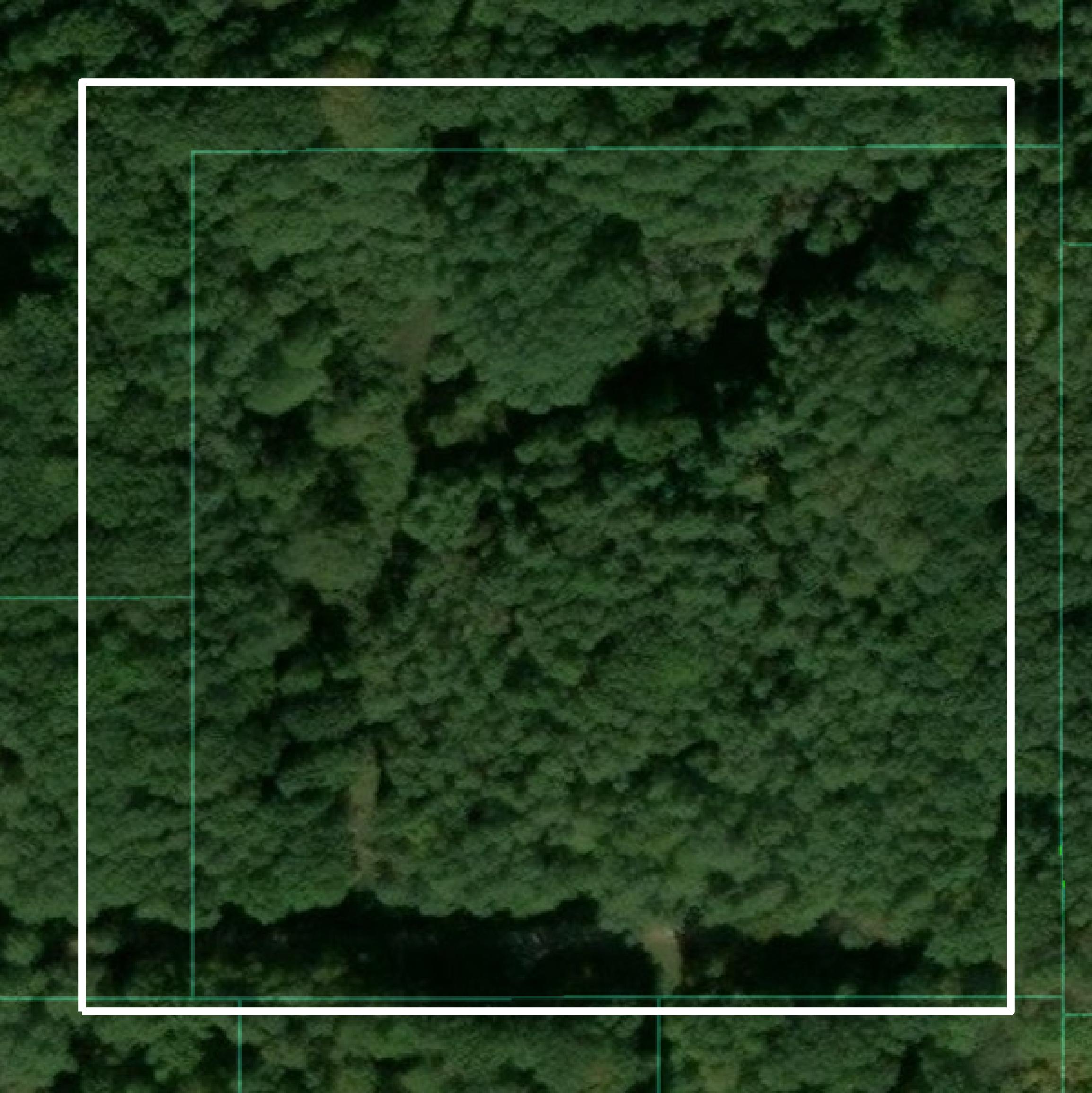 This image shows parcel and building data in Mecosta County created using GIS data in Equator.