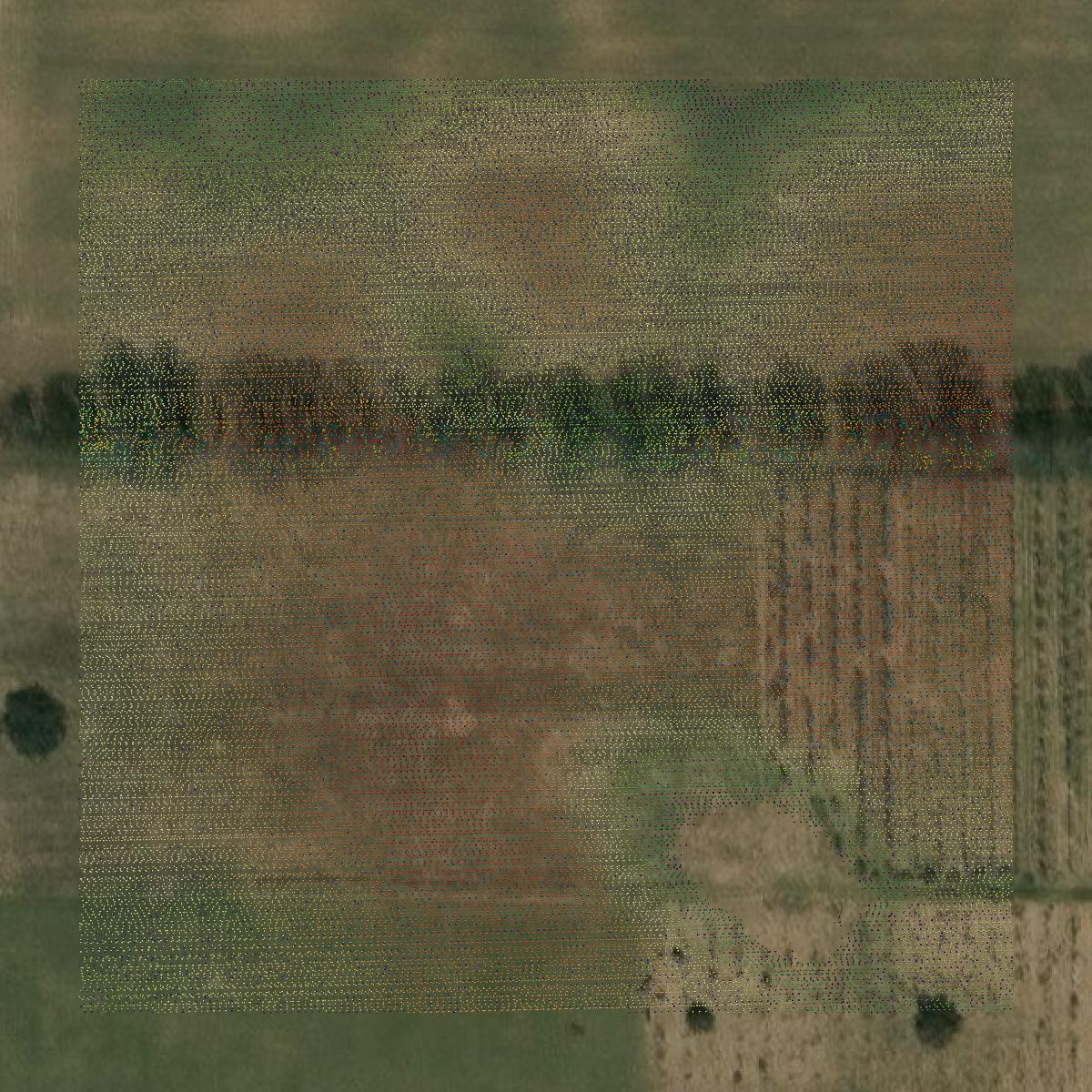 This image shows a LiDAR point cloud in Mecosta County created using GIS data in Equator.