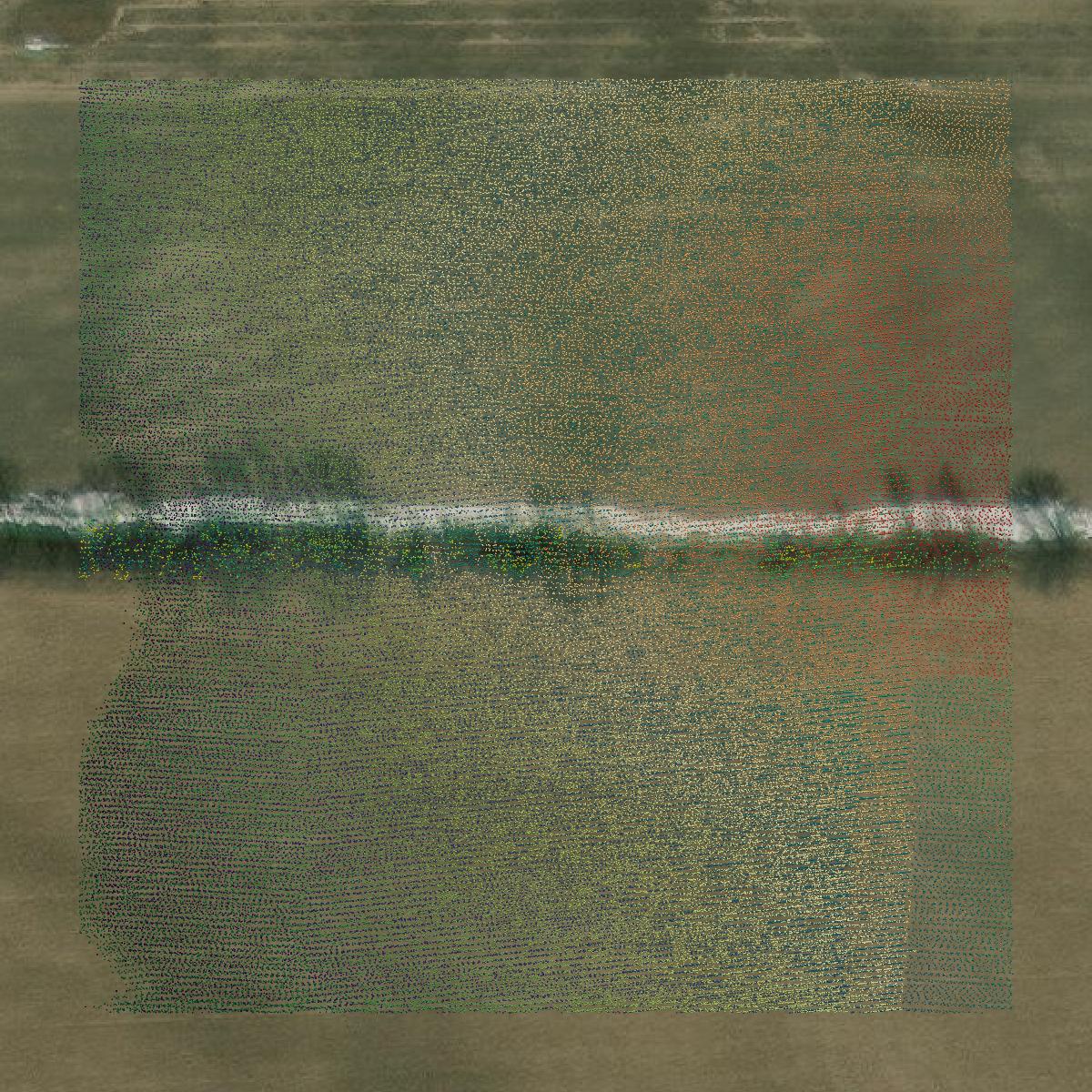 This image shows a LiDAR point cloud in Mecosta County created using GIS data in Equator.