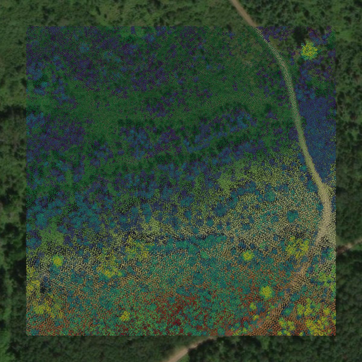 This image shows a LiDAR point cloud in Menominee County created using GIS data in Equator.