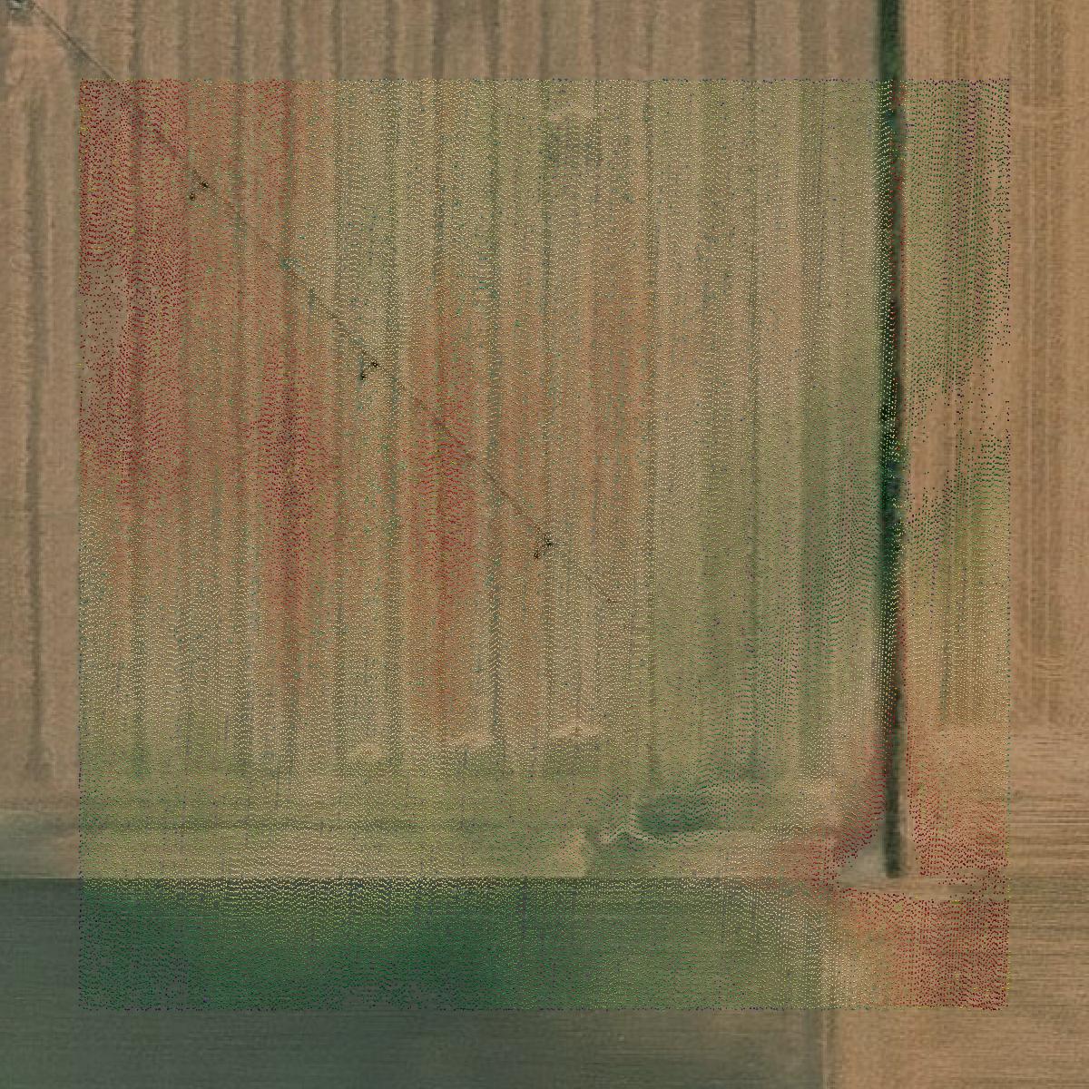 This image shows a LiDAR point cloud in Midland County created using GIS data in Equator.