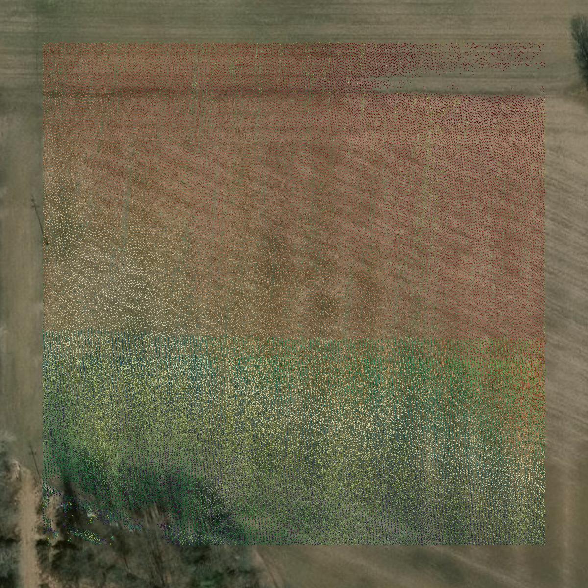 This image shows a LiDAR point cloud in Midland County created using GIS data in Equator.