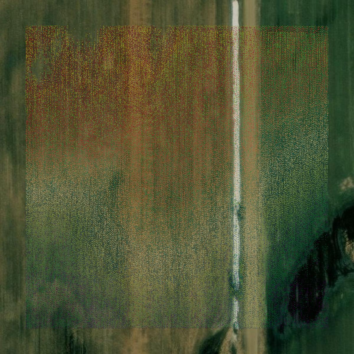 This image shows a LiDAR point cloud in Missaukee County created using GIS data in Equator.