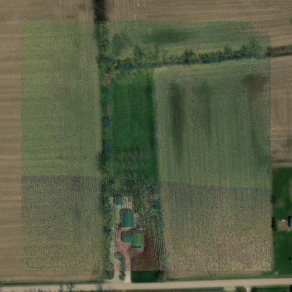 This image shows a LiDAR point cloud in Monroe County created using GIS data in Equator.