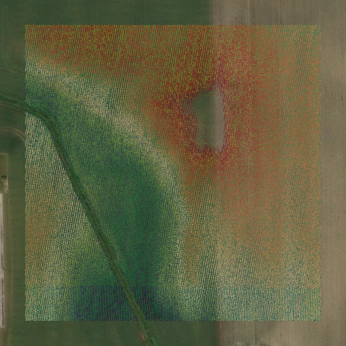 This image shows a LiDAR point cloud in Monroe County created using GIS data in Equator.