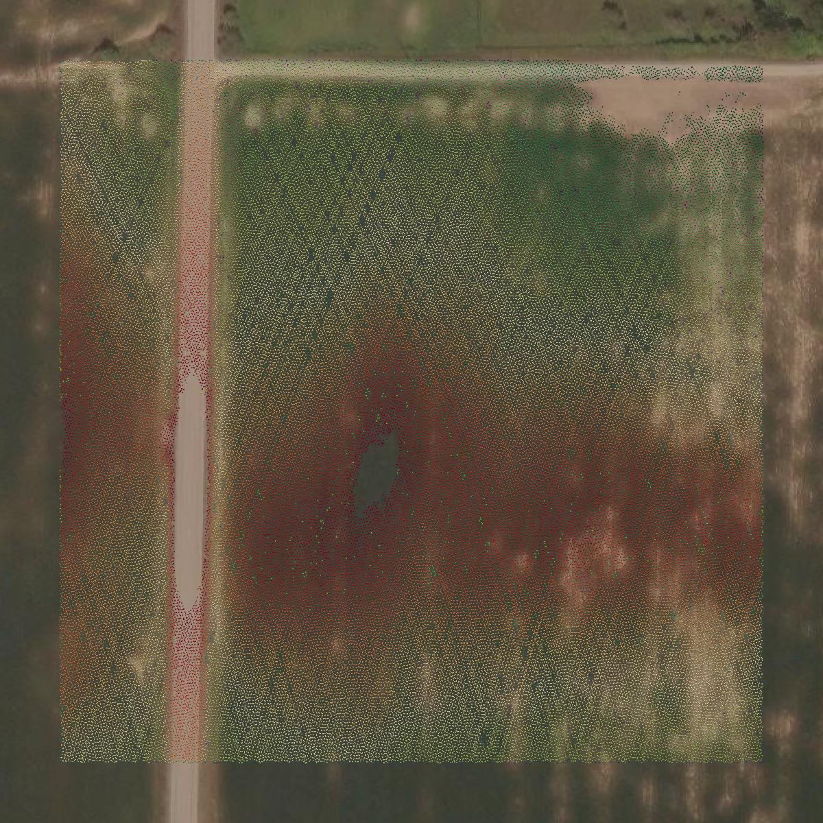 This image shows a LiDAR point cloud in Montmorency County created using GIS data in Equator.