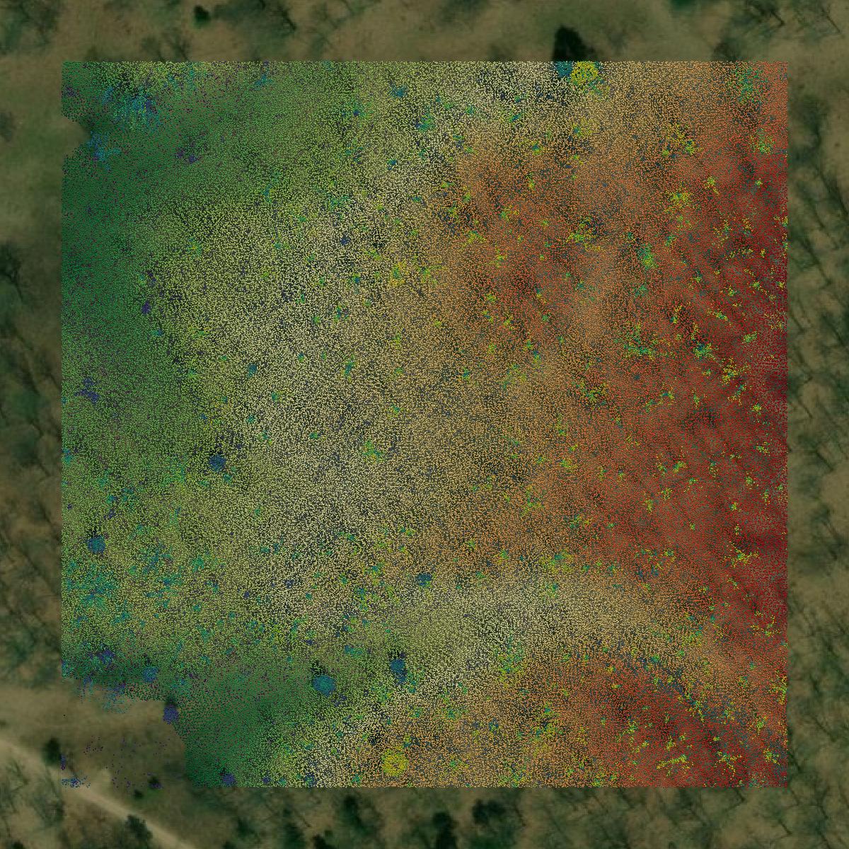 This image shows a LiDAR point cloud in Montmorency County created using GIS data in Equator.