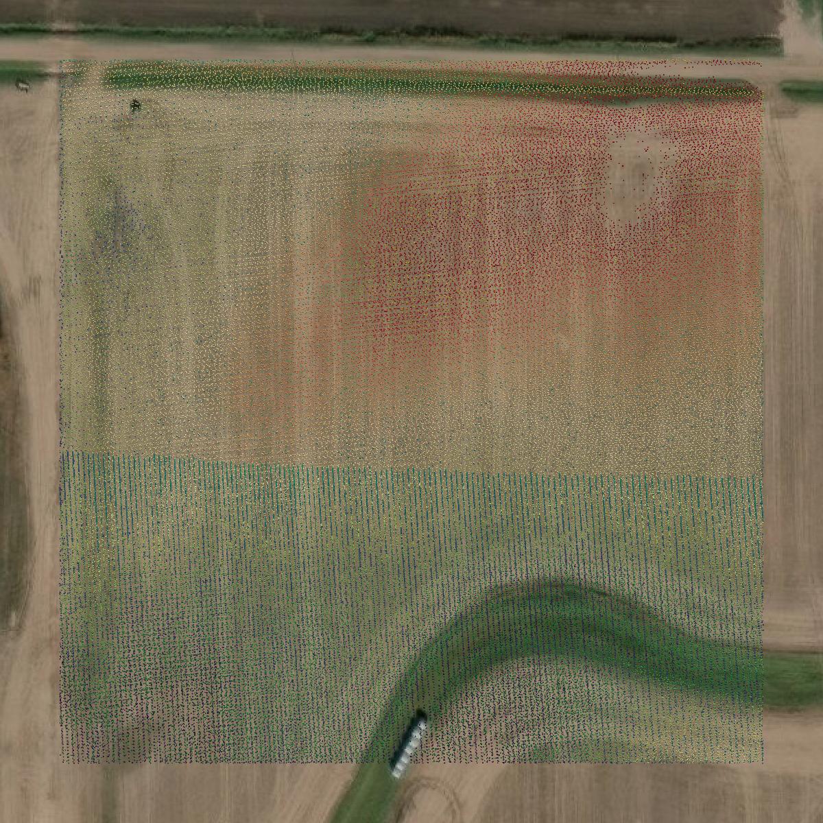 This image shows a LiDAR point cloud in Muskegon County created using GIS data in Equator.