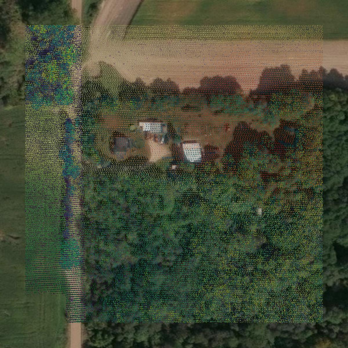 This image shows a LiDAR point cloud in Newaygo County created using GIS data in Equator.