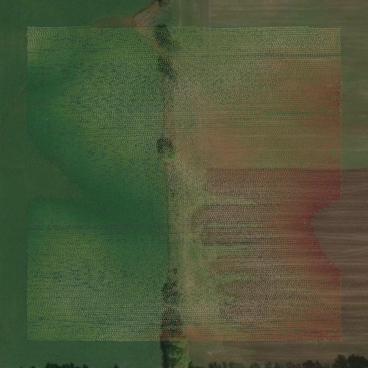 This image shows a LiDAR point cloud in Newaygo County created using GIS data in Equator.