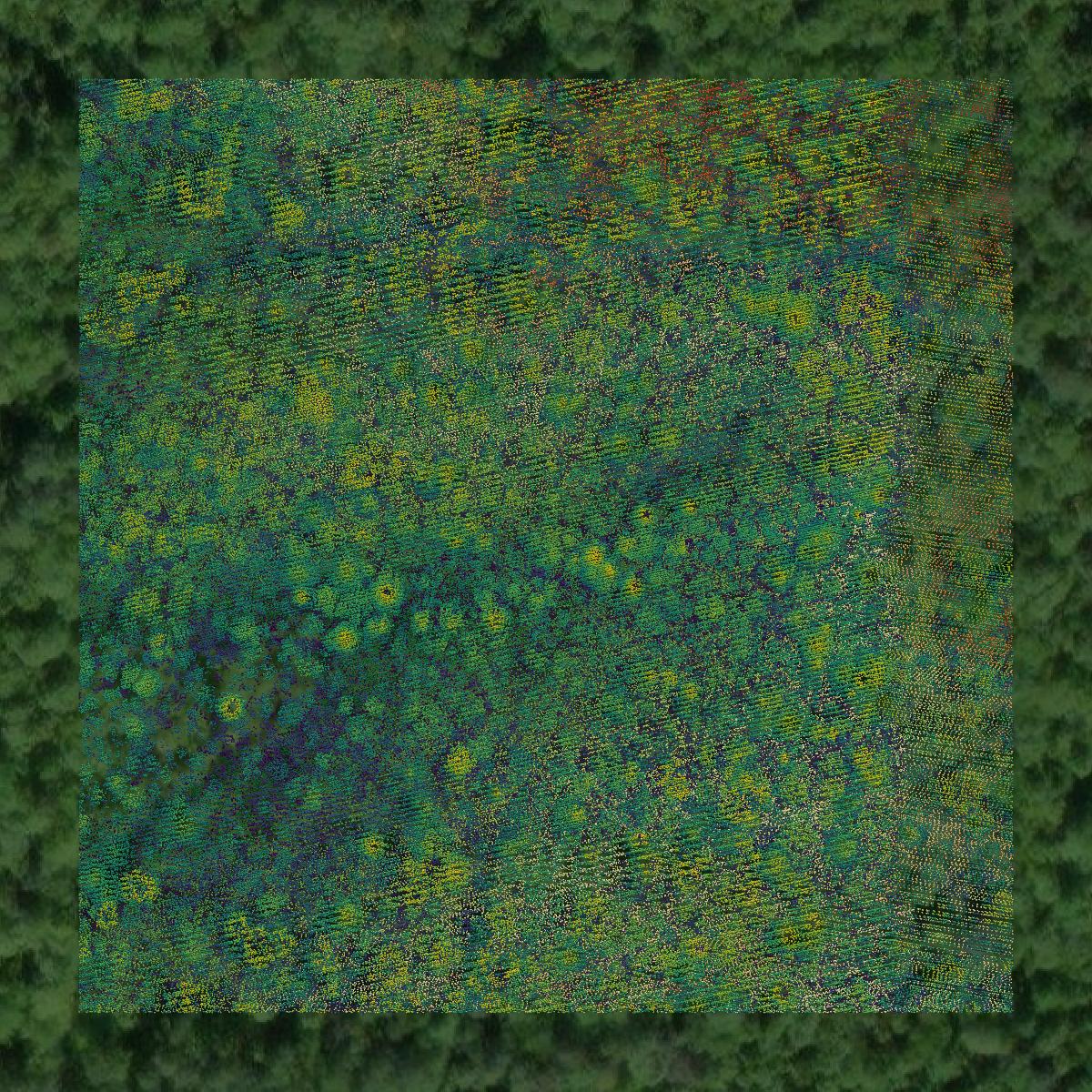 This image shows a LiDAR point cloud in Ontonagon County created using GIS data in Equator.