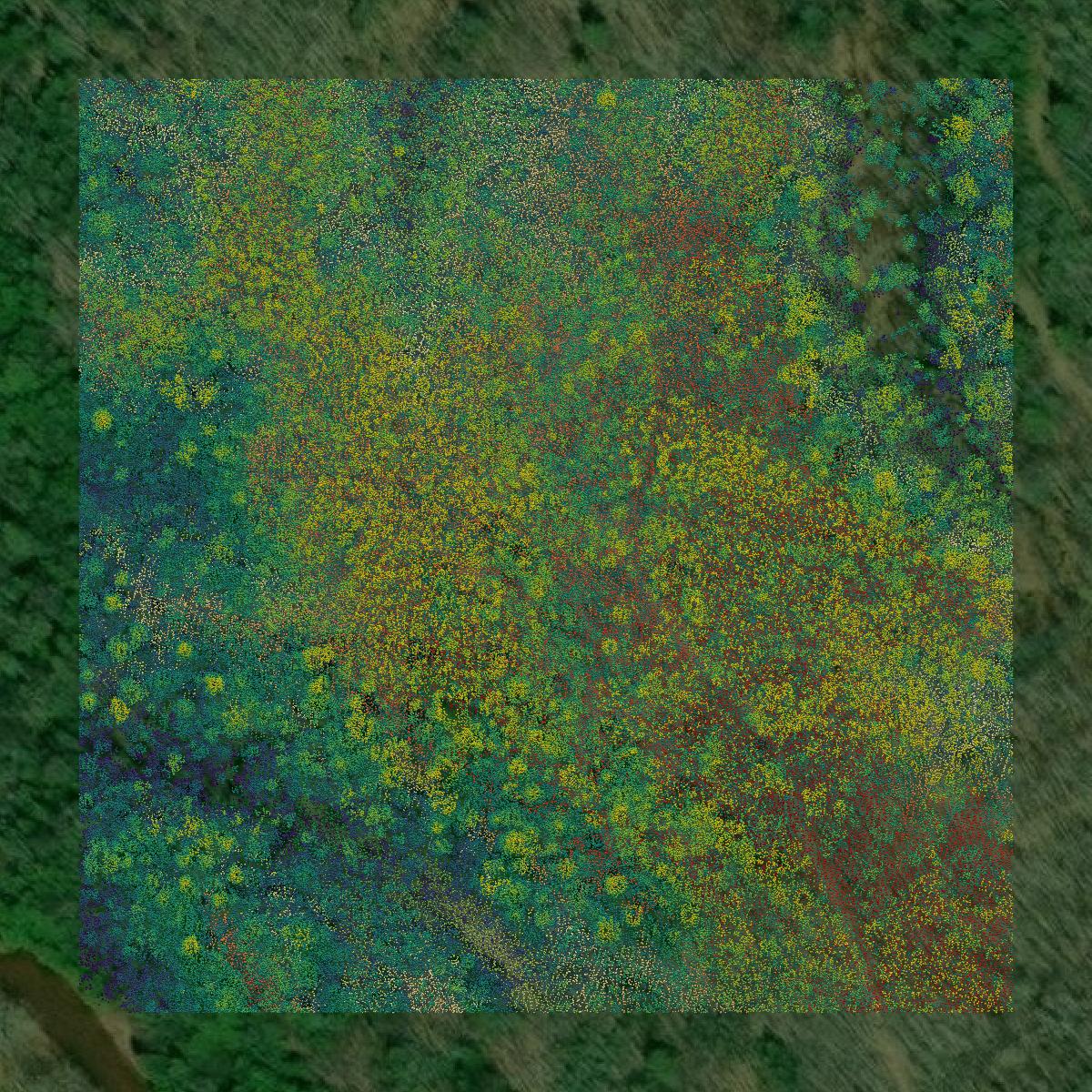 This image shows a LiDAR point cloud in Ontonagon County created using GIS data in Equator.