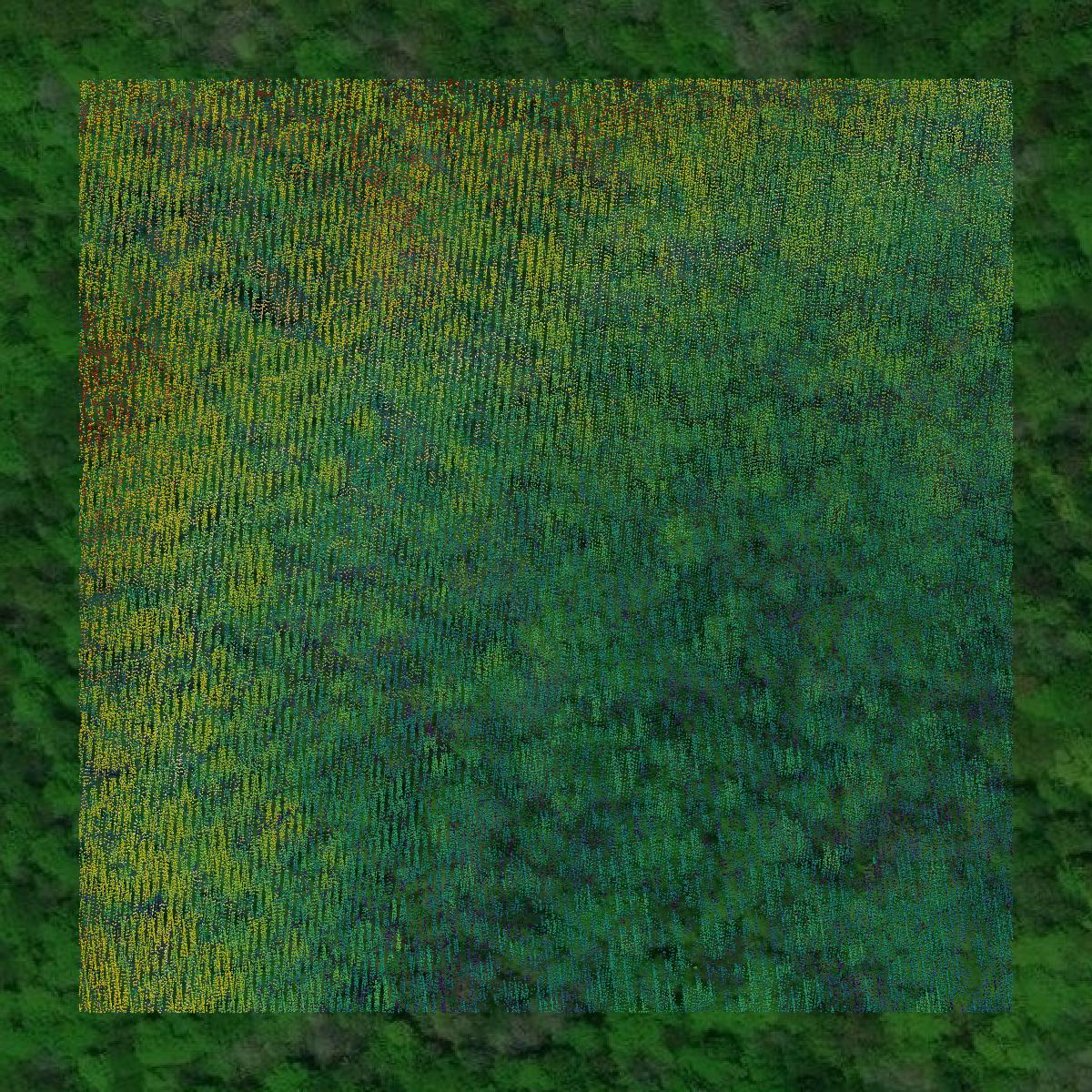 This image shows a LiDAR point cloud in Oscoda County created using GIS data in Equator.