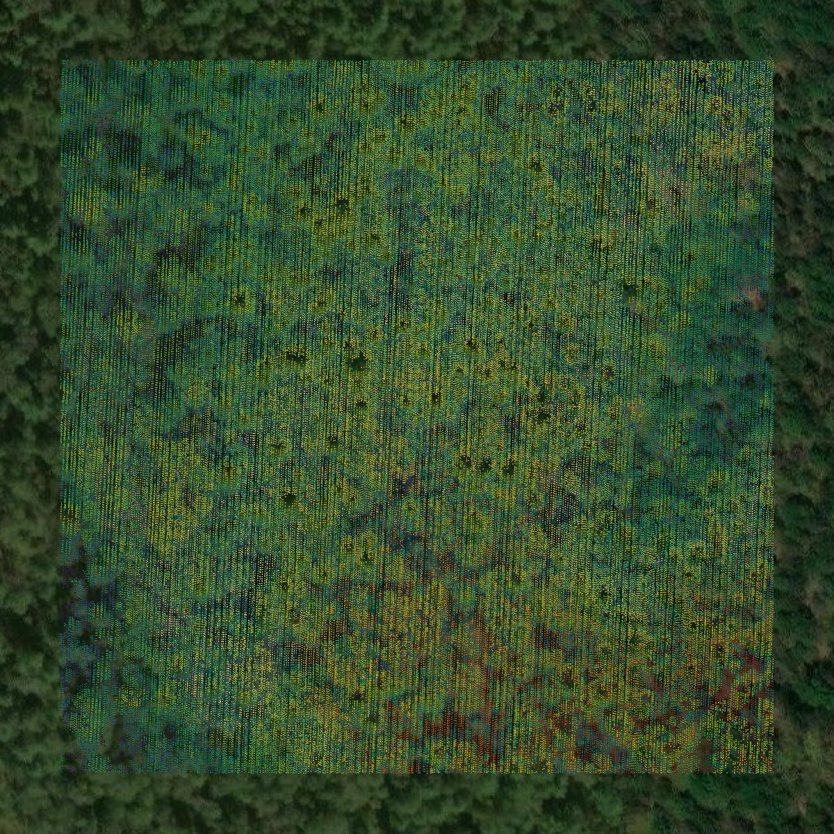This image shows a LiDAR point cloud in Oscoda County created using GIS data in Equator.