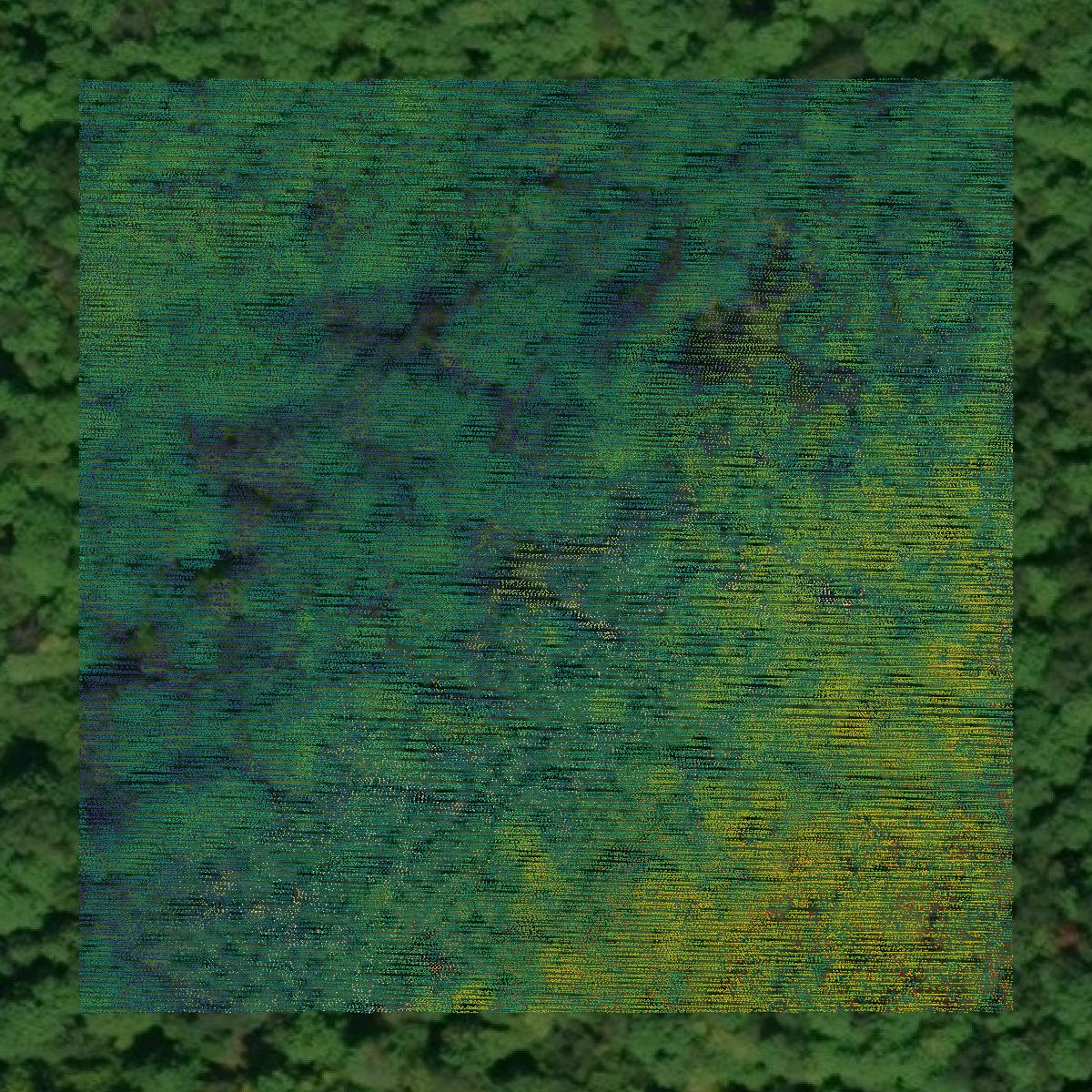 This image shows a LiDAR point cloud in Otsego County created using GIS data in Equator.
